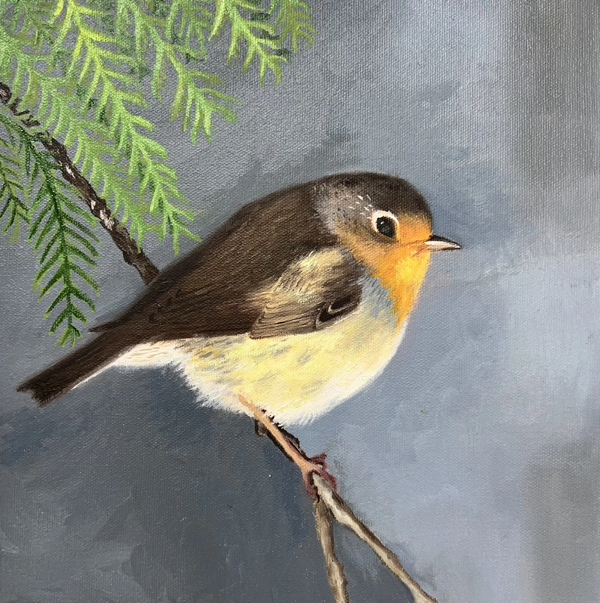 Jennifer Brewer - pstd 8-20-25.jpeg