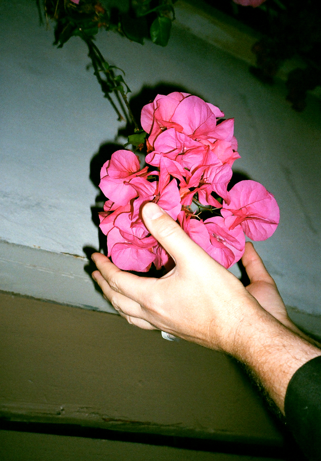 TouchUponTouch_Flowers.jpg