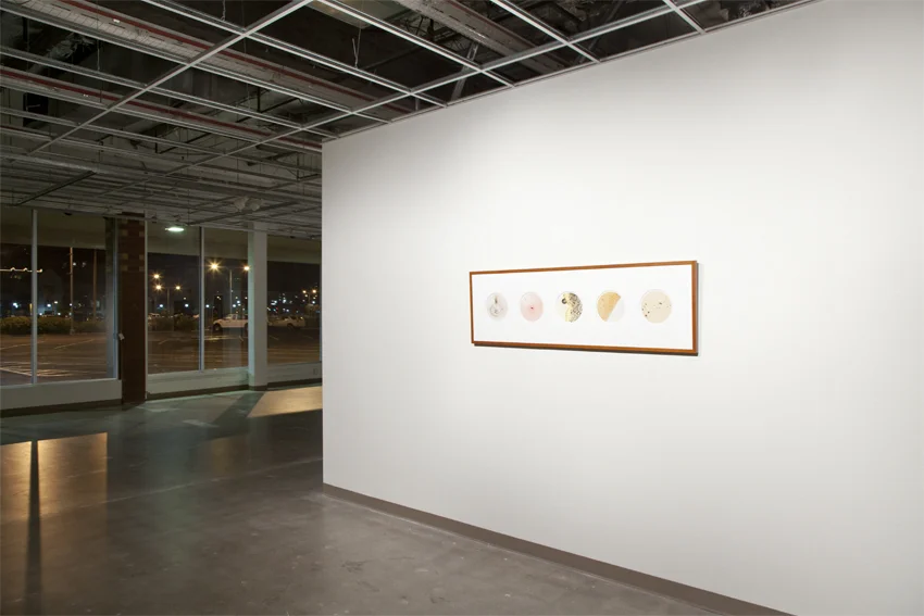 Temporary Installation | Gallery 100 | Arizona State University | Tempe, AZ, USA