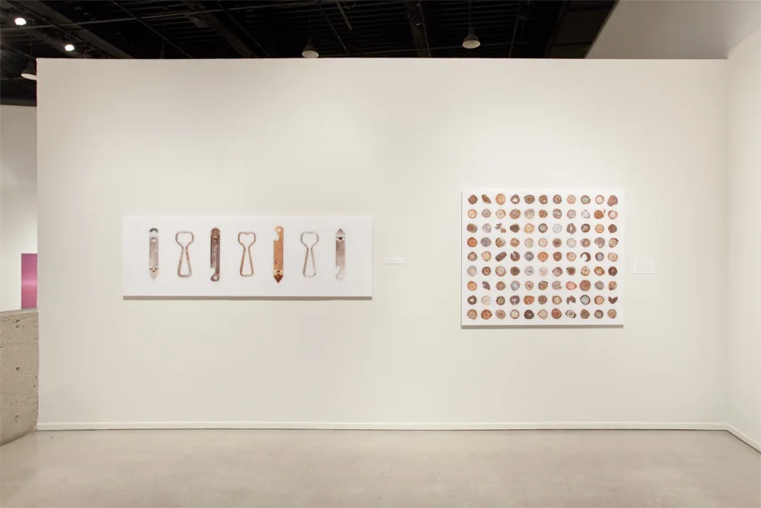 Arizona Biennial '11 | Tucson Museum of Art | Tucson, AZ, USA