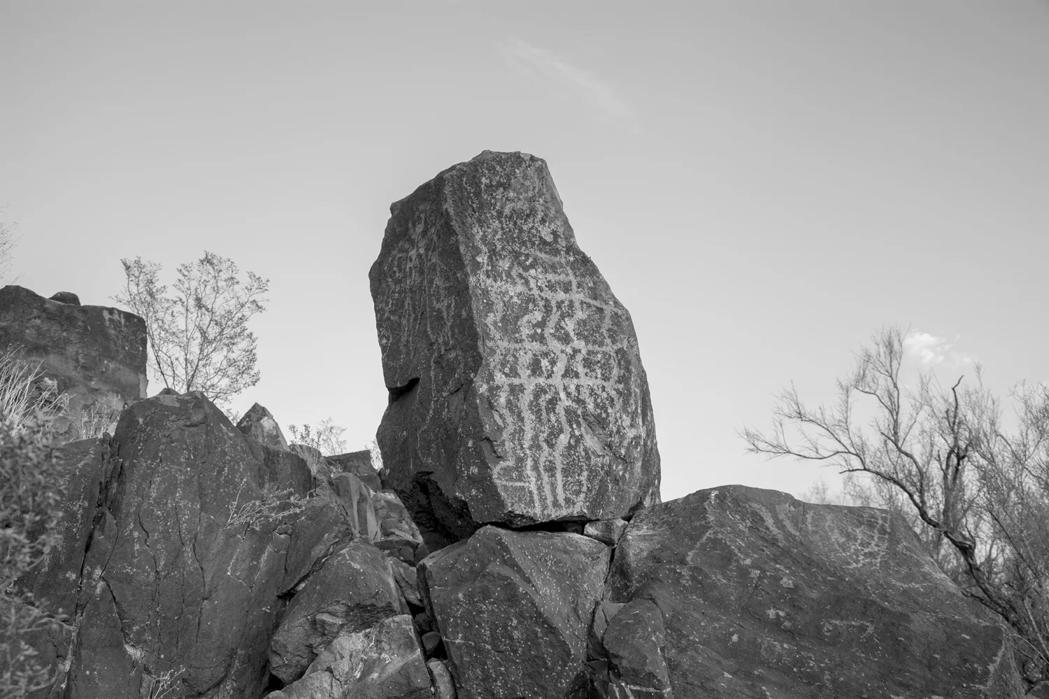 Petroglyph Damaged By Bullets