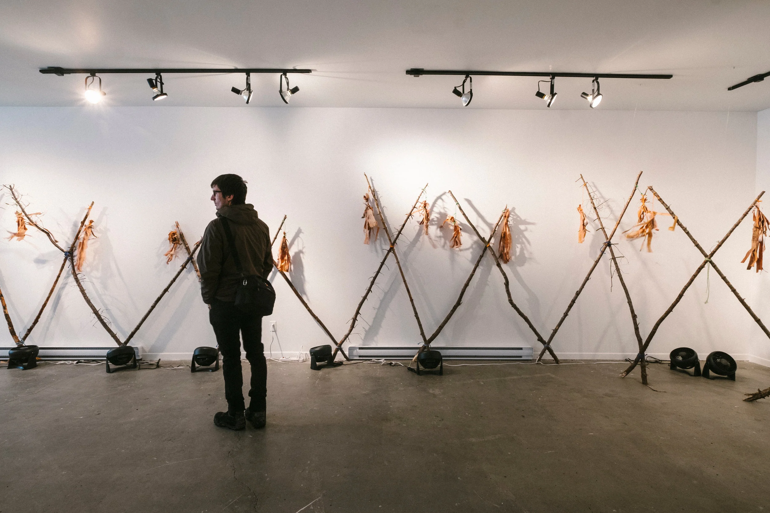 Herd: Heard, 2017