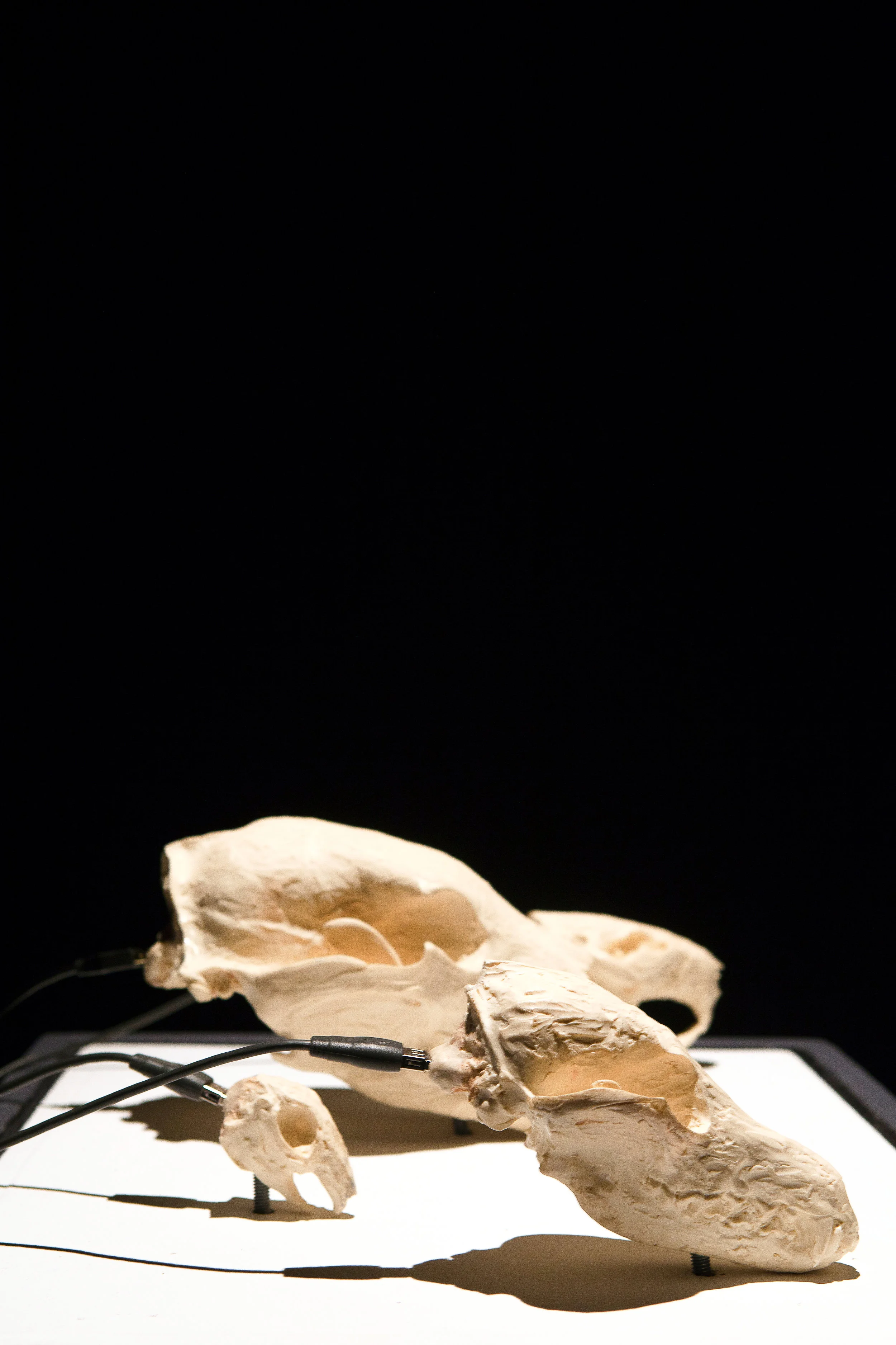 Skull Stories, 2012