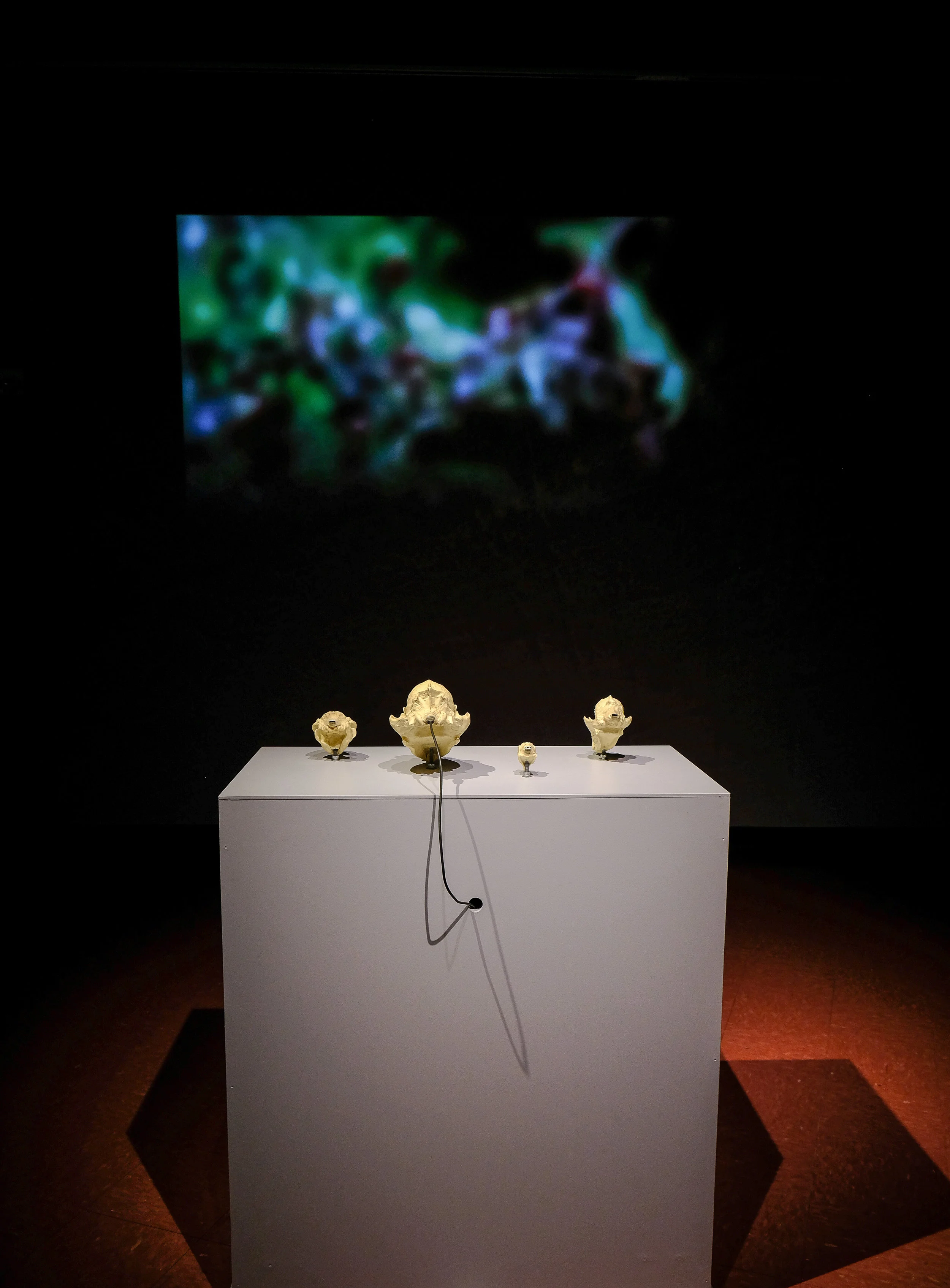 Skull Stories, 2012