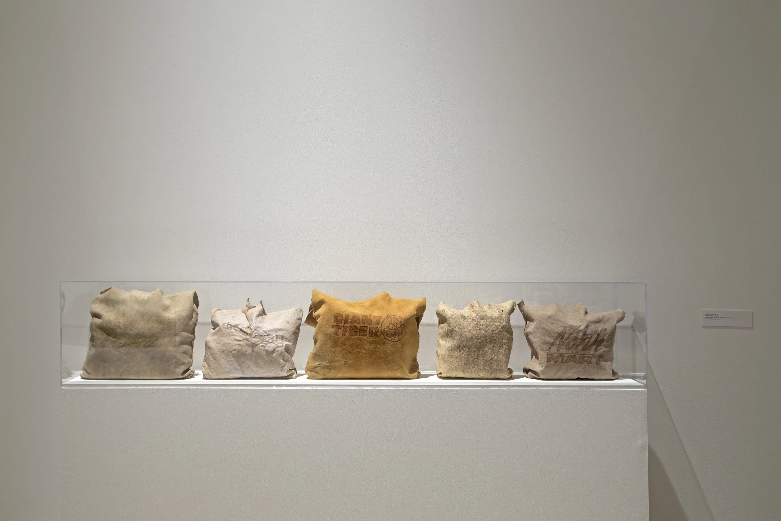 Artifact Bag: Giant Tiger, Wal-Mart, Target, North Mart, The Bay, 2013-2014