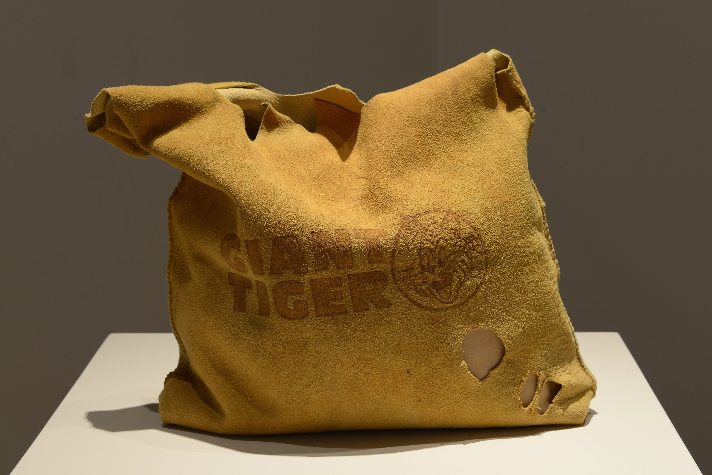 Artifact Bag: Giant Tiger 2012