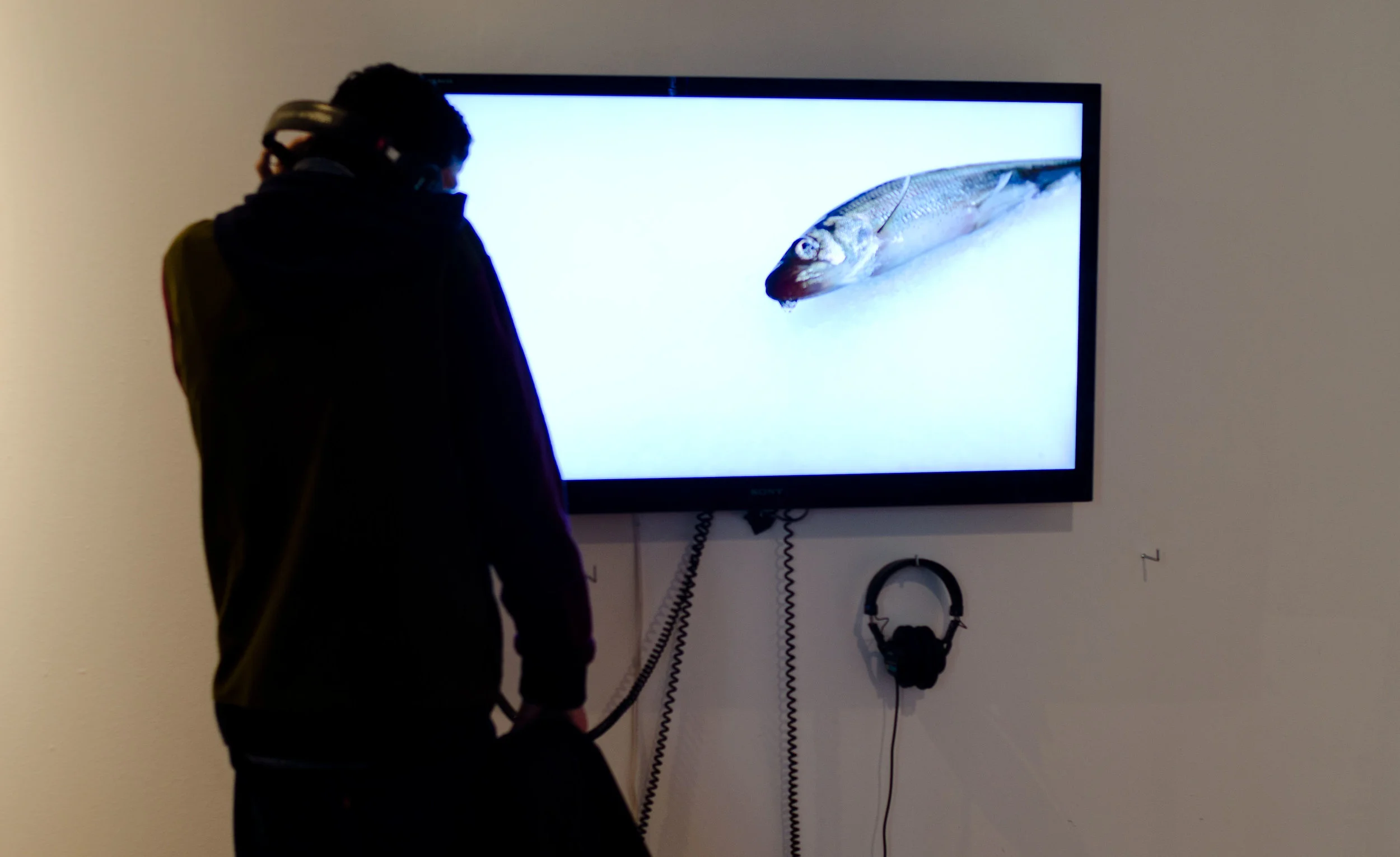 Ice Fishing, 2014