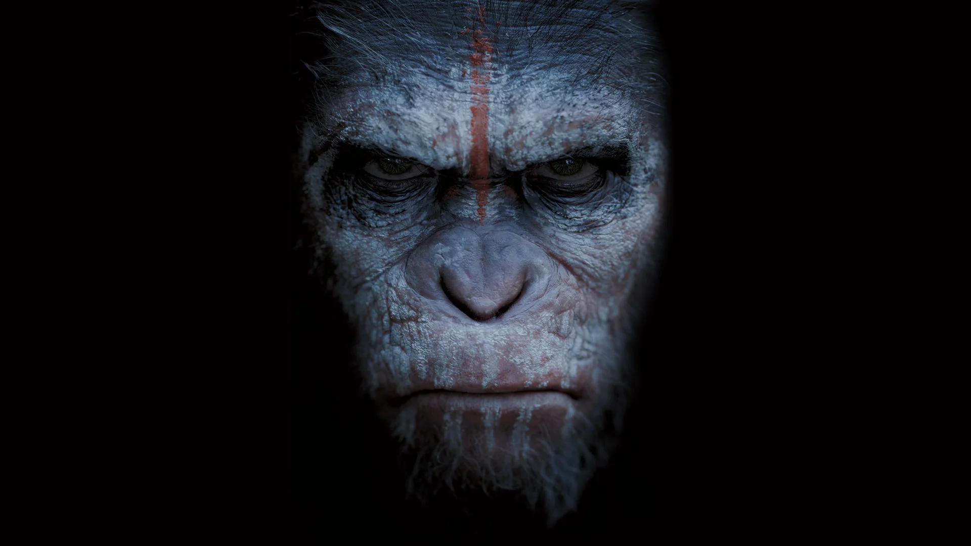 dawn-of-the-planet-of-the-apes-wallpaper-33541-34297-hd-wallpapers.jpg