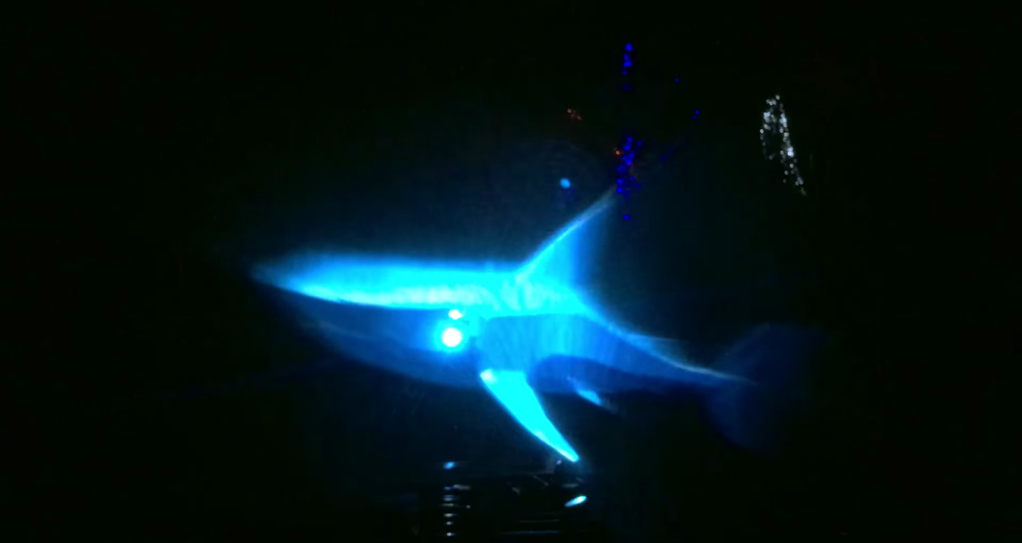 Screen Shot 2016-05-20 at 12.34.13 PM.png