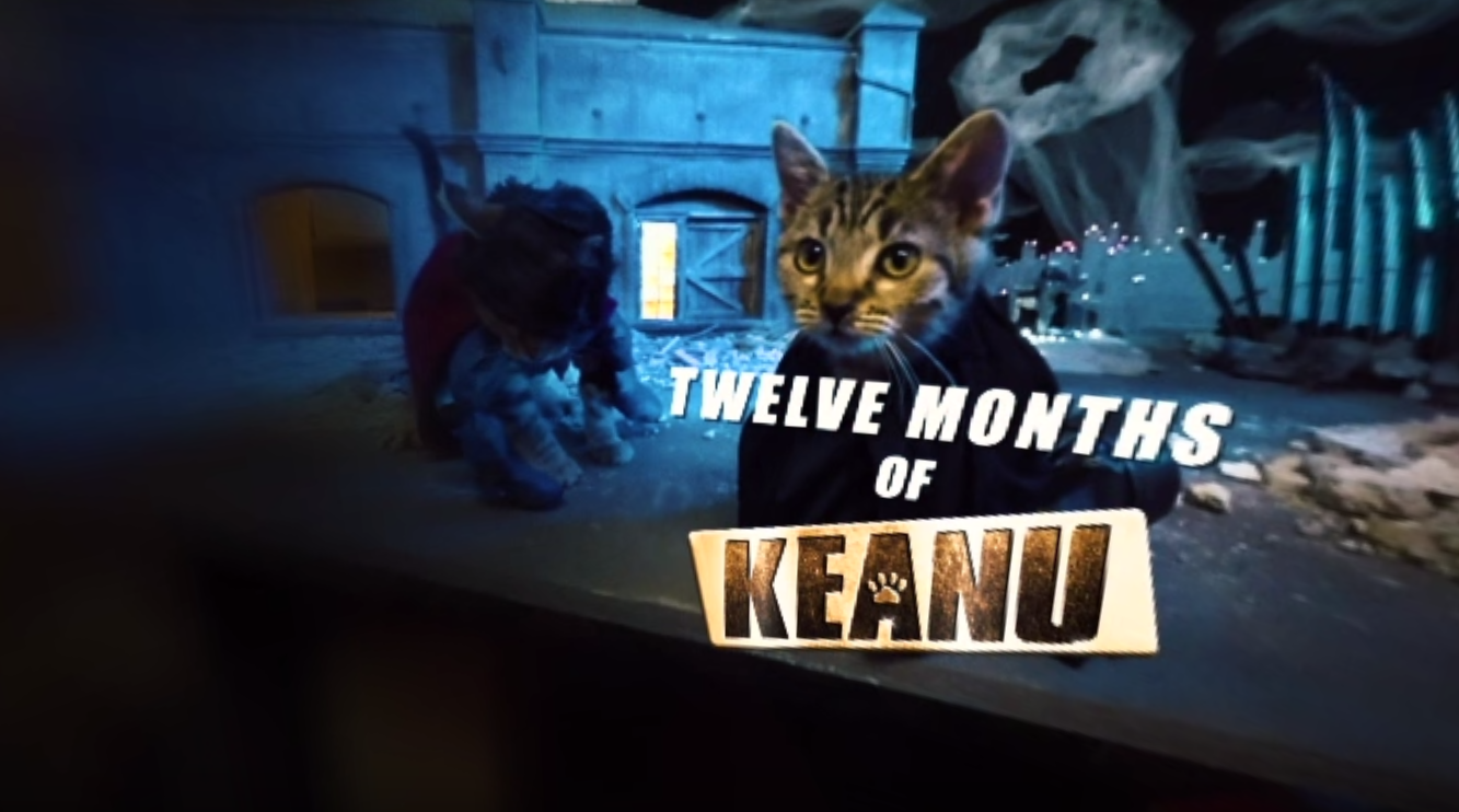 Warner Bros: Keanu: 360 Experience