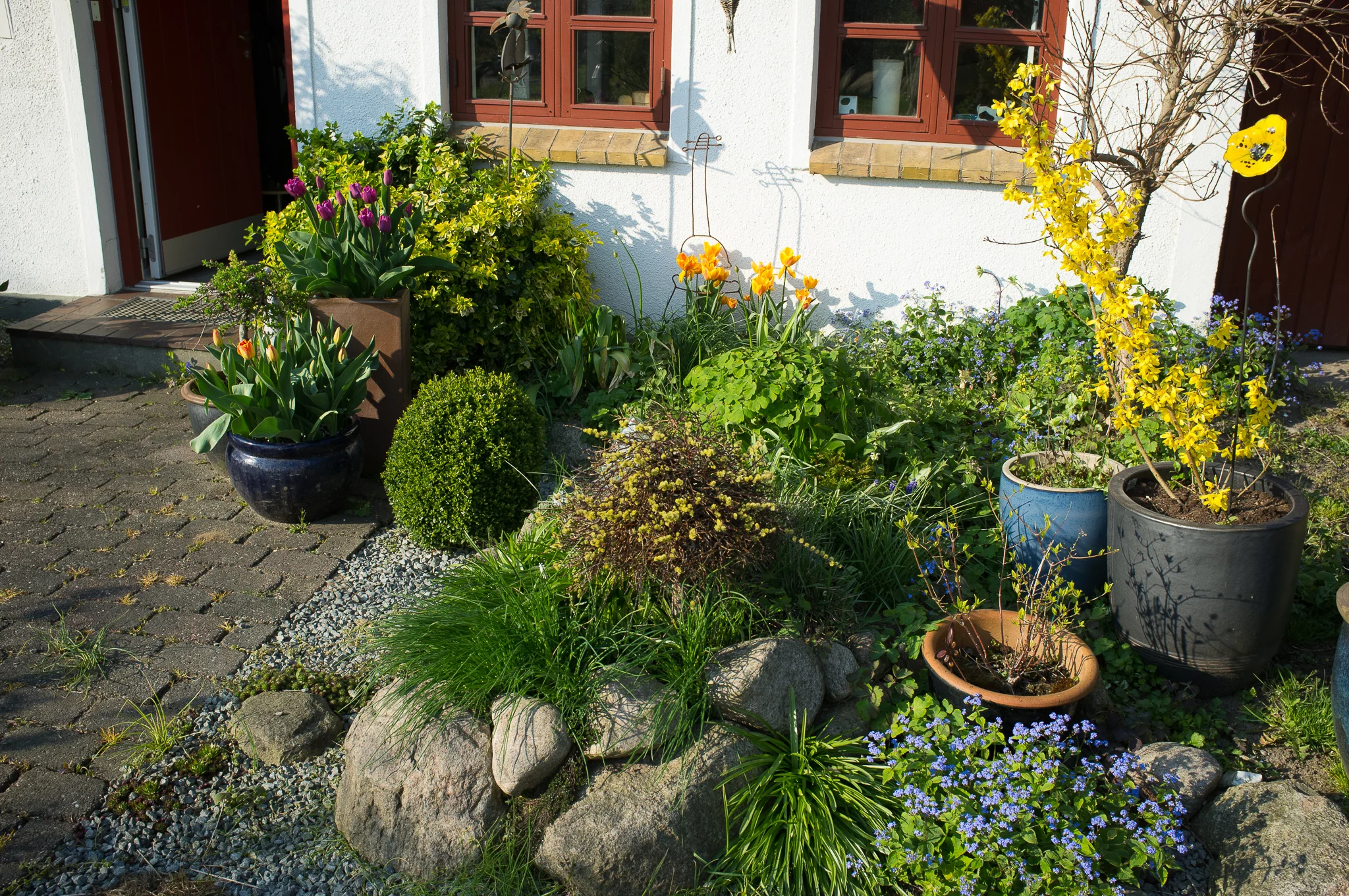 DSCF0897.jpg
