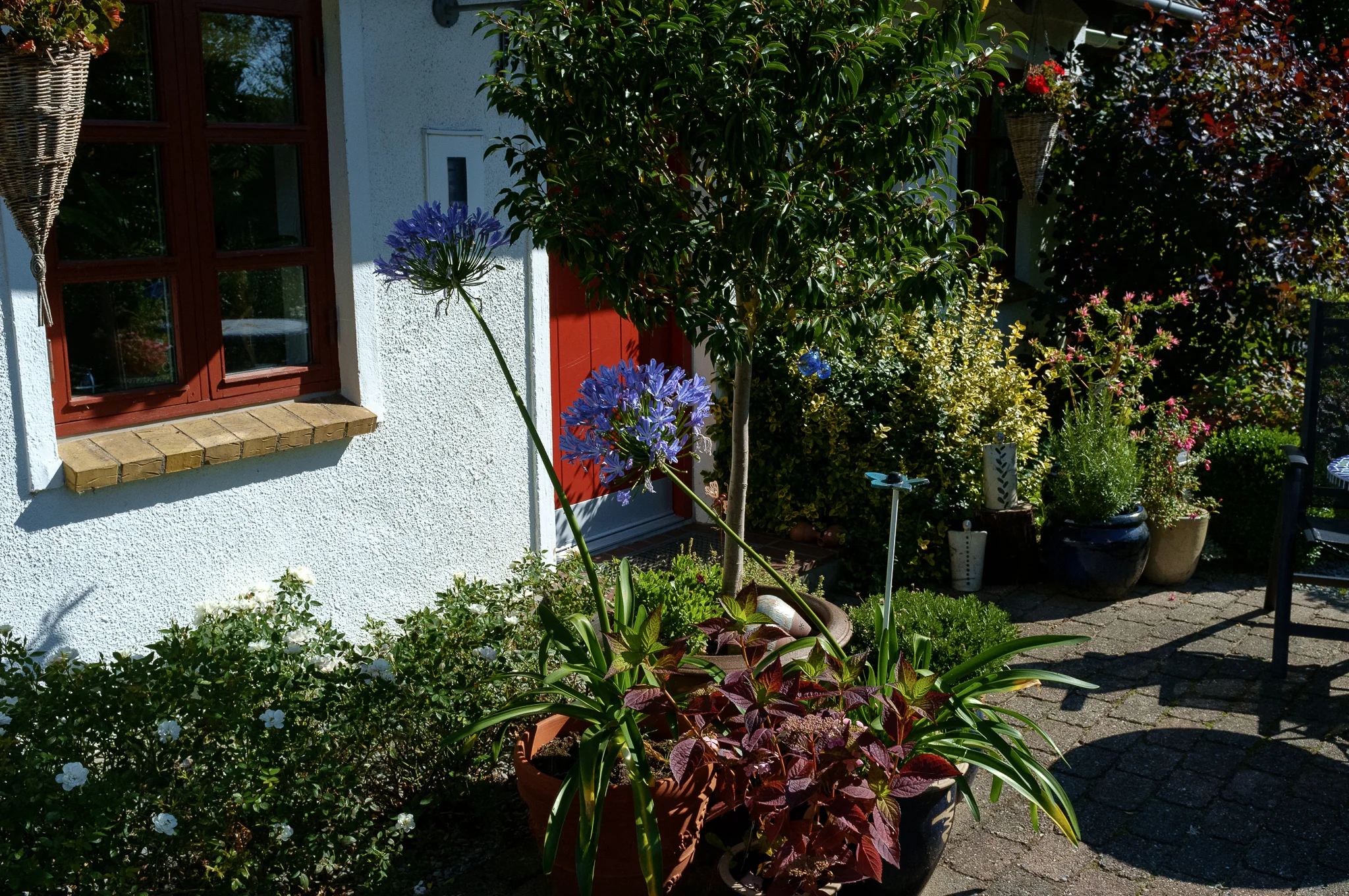 DSCF1610.jpg