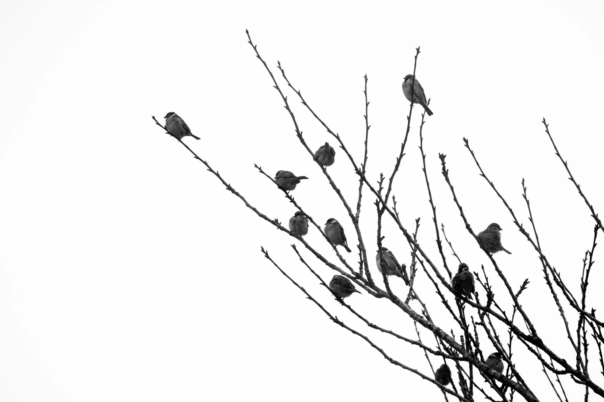 DSCF4733-Edit.jpg