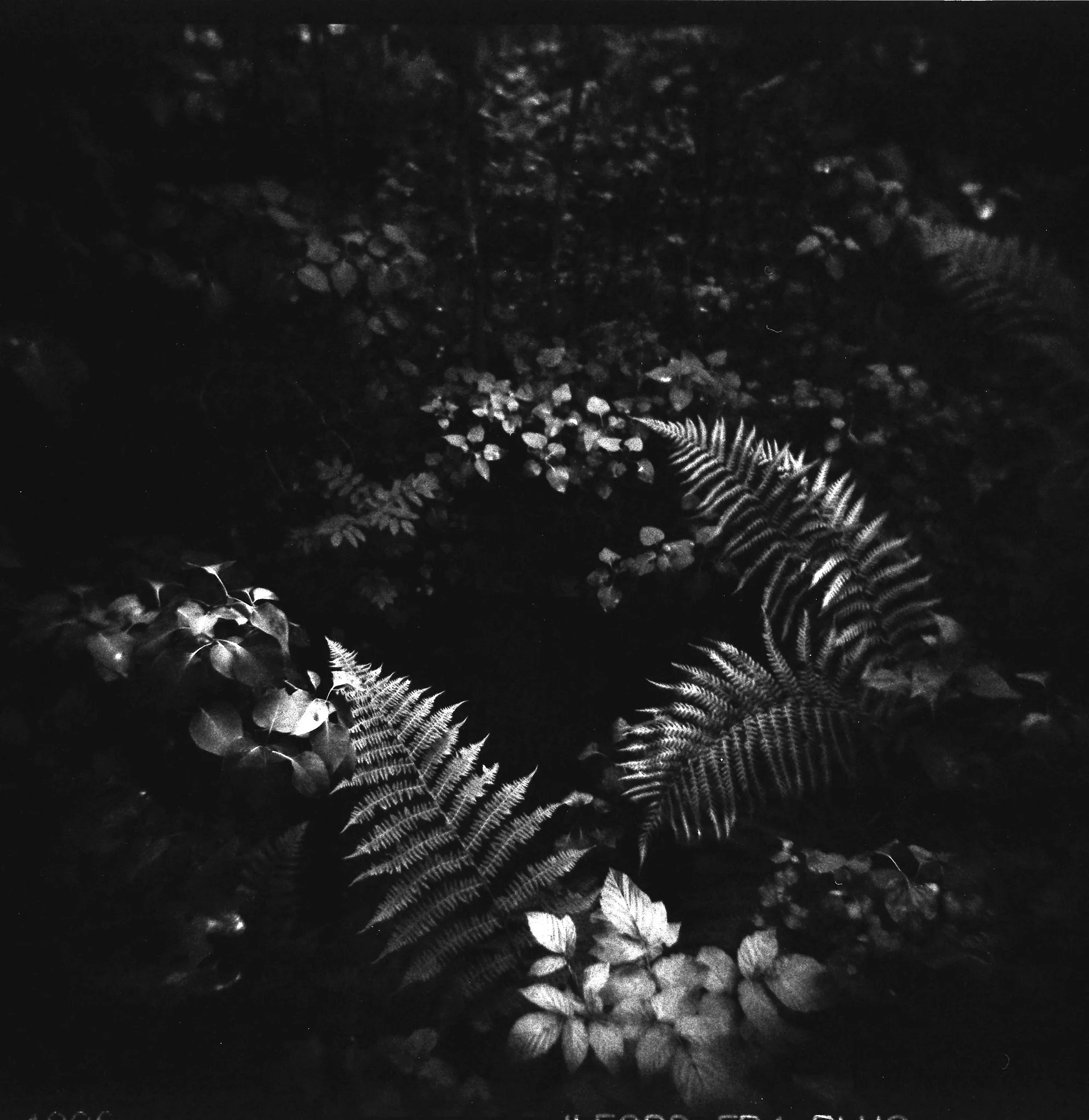 20110711-JensRohde-Mors foedselsdagstur til Sverige-299.jpg