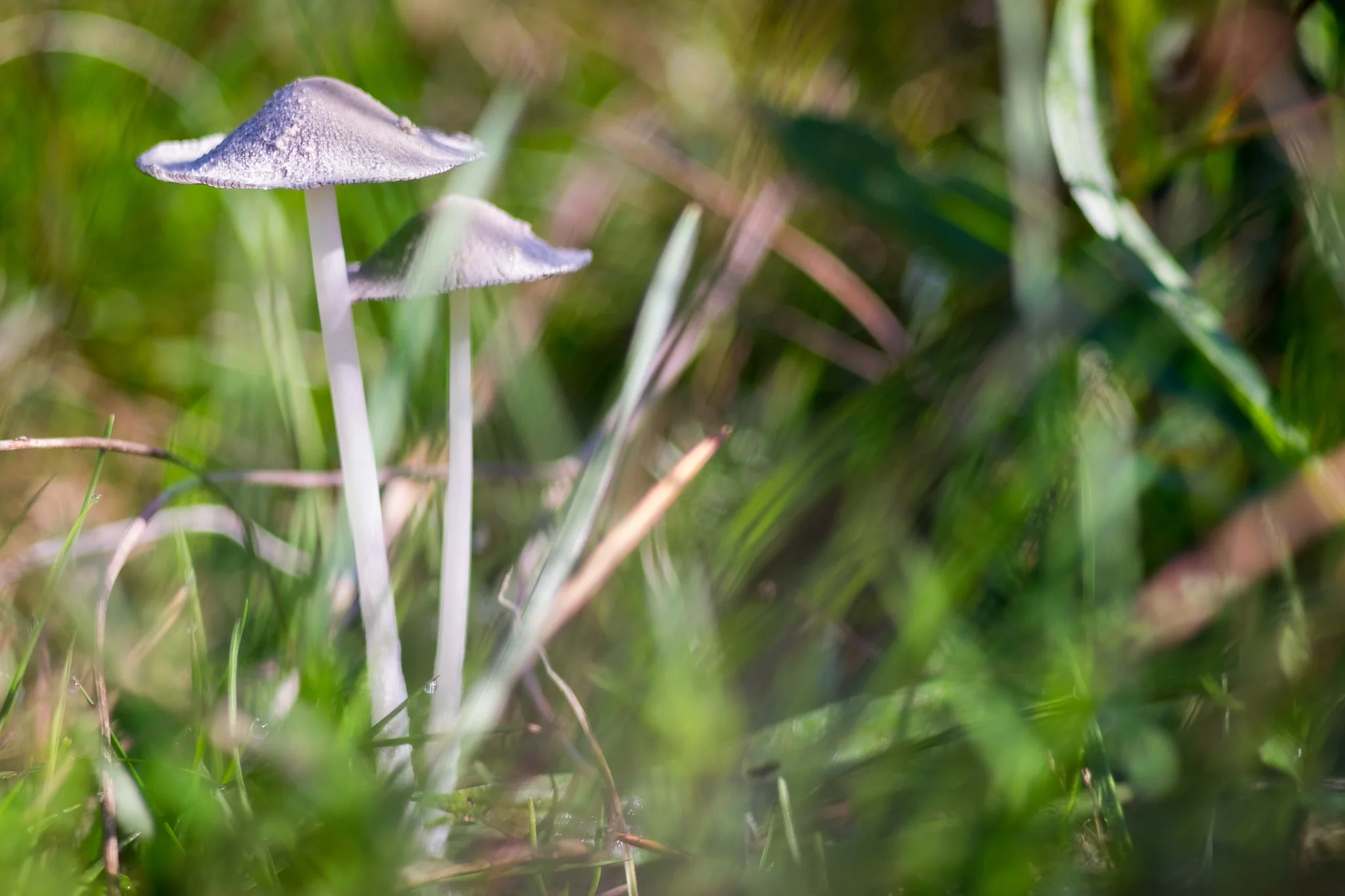 20150918-JensRohde-Kursus paa Molslab-113.jpg