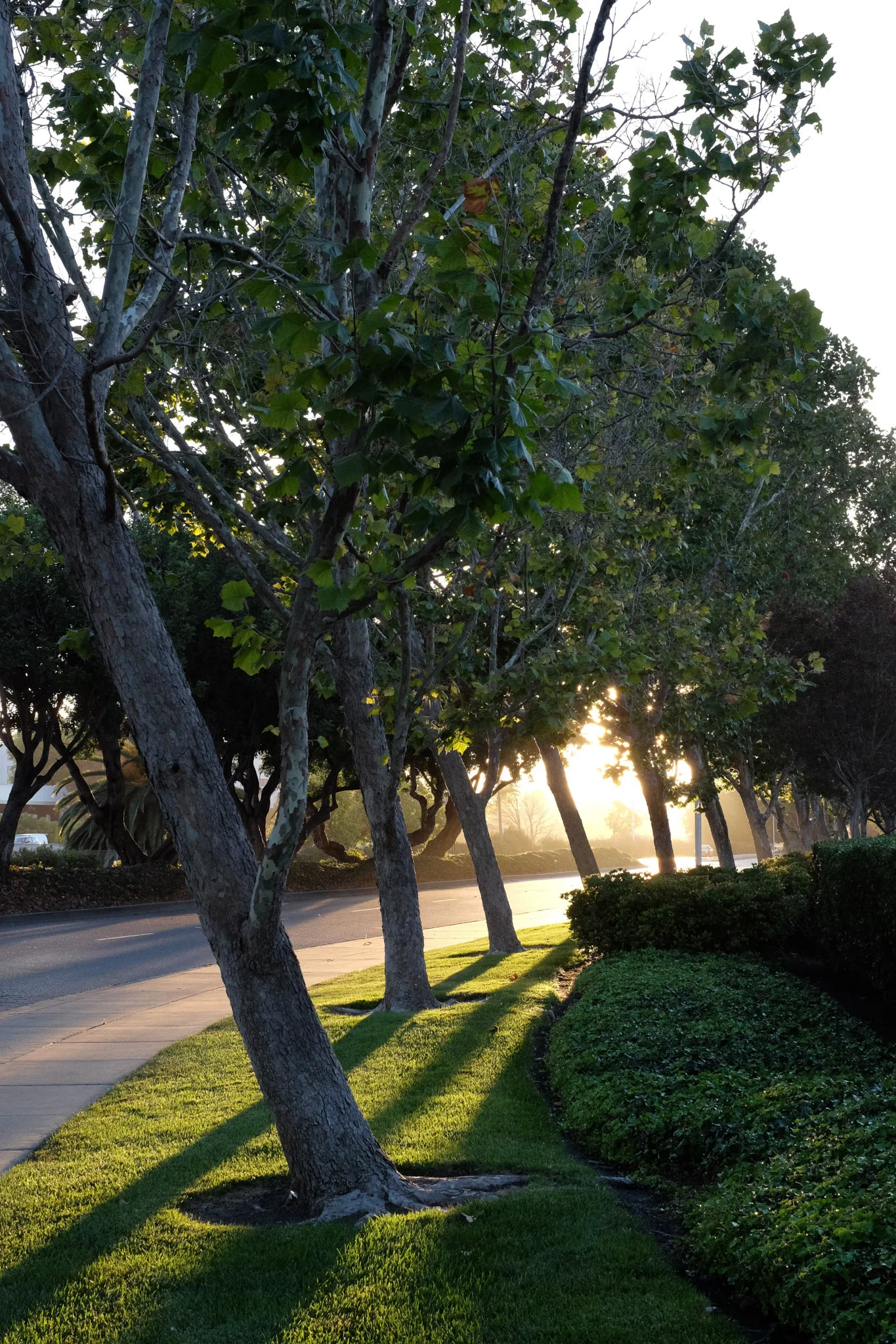 DSCF3919.jpg