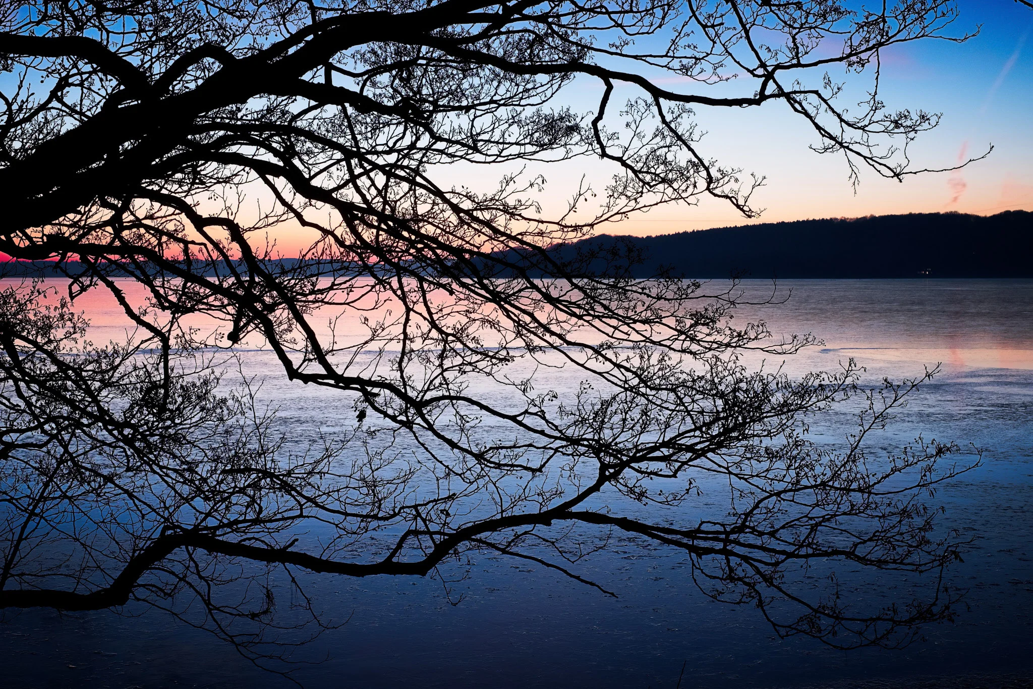DSCF5327.jpg