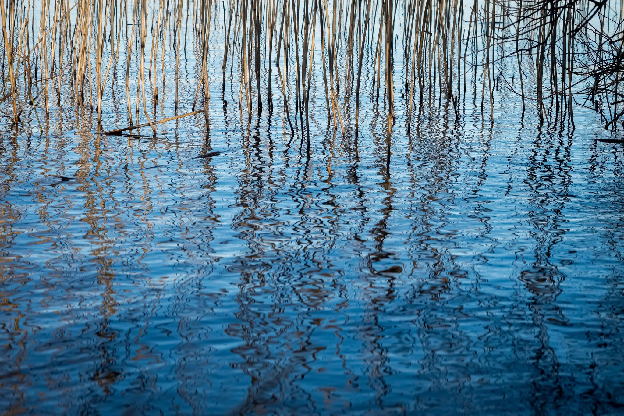 DSCF5803.jpg