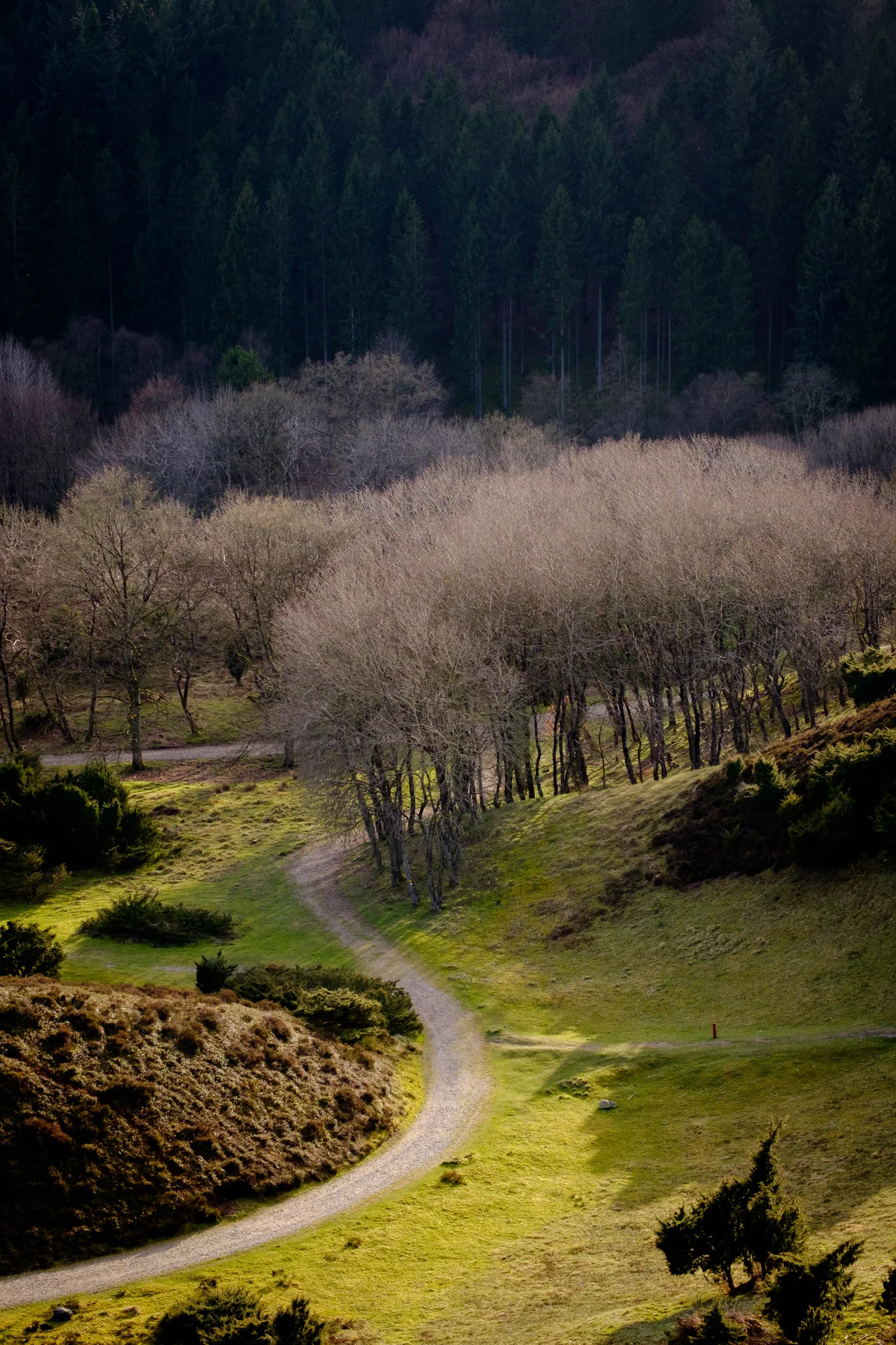 DSCF6063.jpg