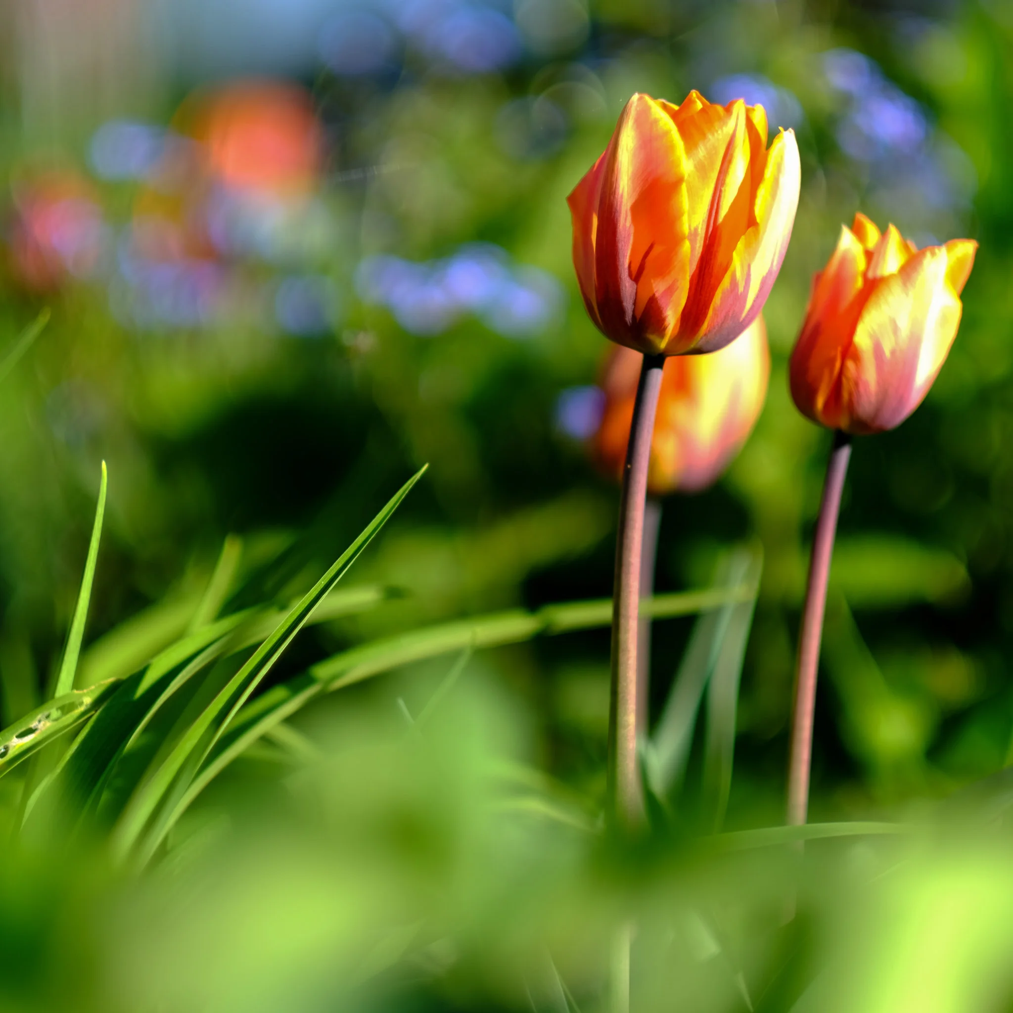 DSCF3269.jpg