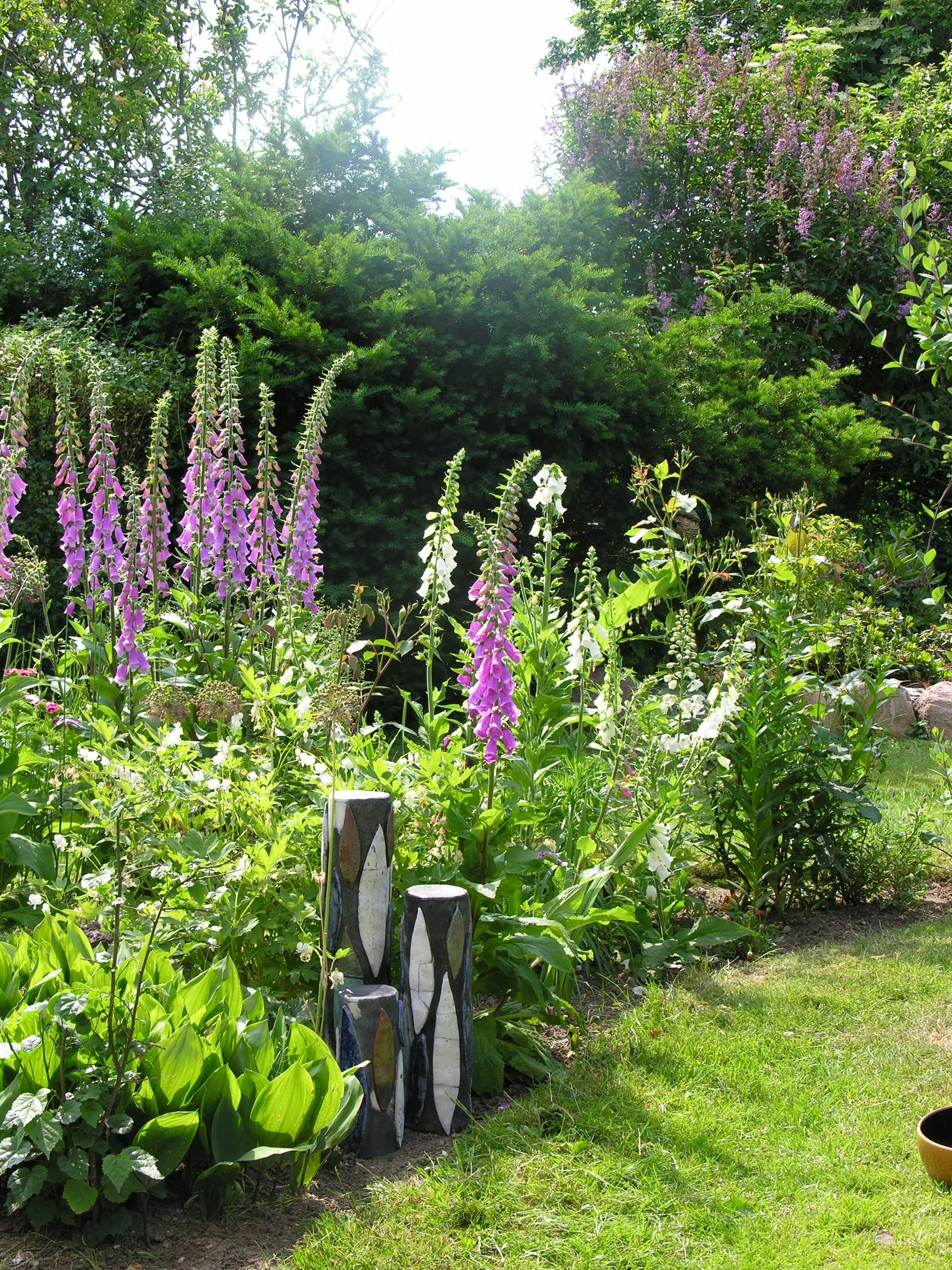 DSCN2056.jpg