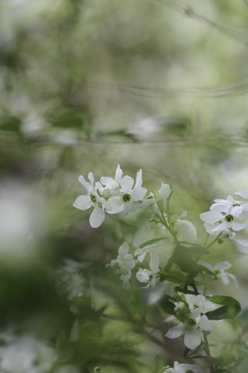 Screen Shot 2024-03-15 at 7.16.28 PM.png