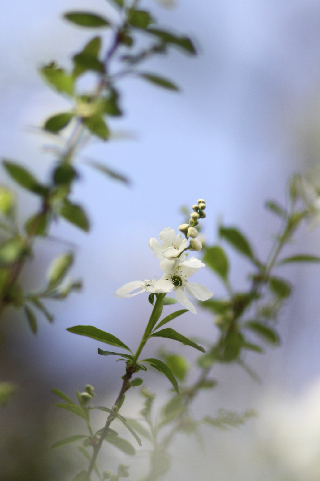 Screen Shot 2024-03-15 at 7.16.43 PM.png