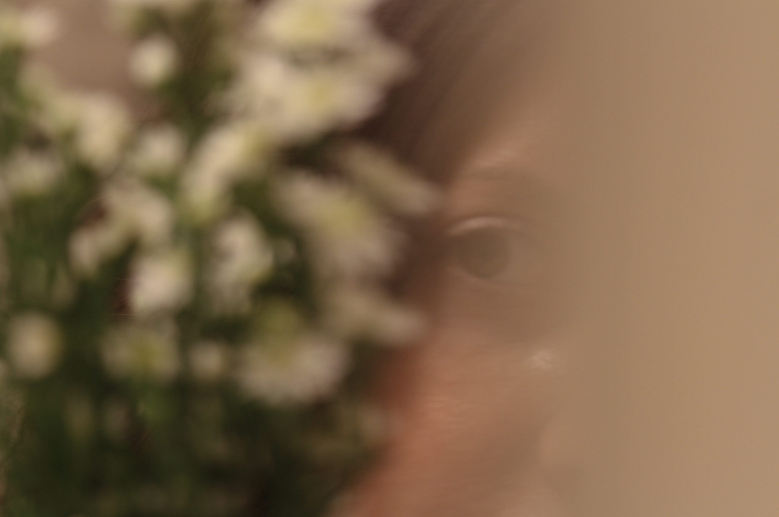 Screen Shot 2024-03-16 at 5.00.27 PM.png