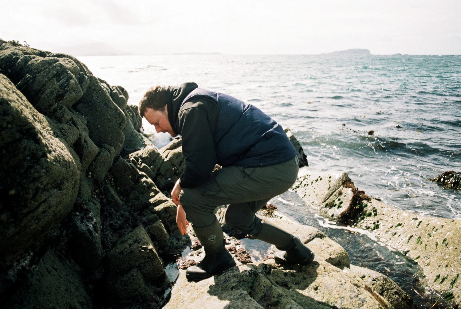 Duncan-Smallman-Easdale-Seaweed.jpg
