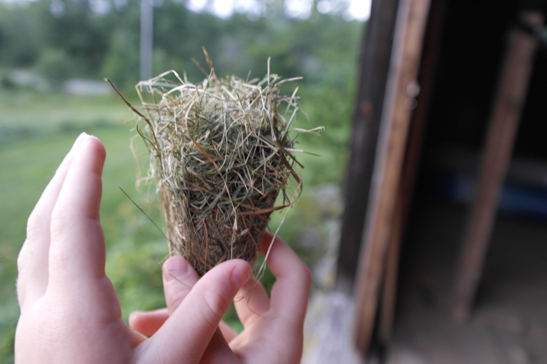 UNADJUSTEDNONRAW_thumb_13f3.jpg