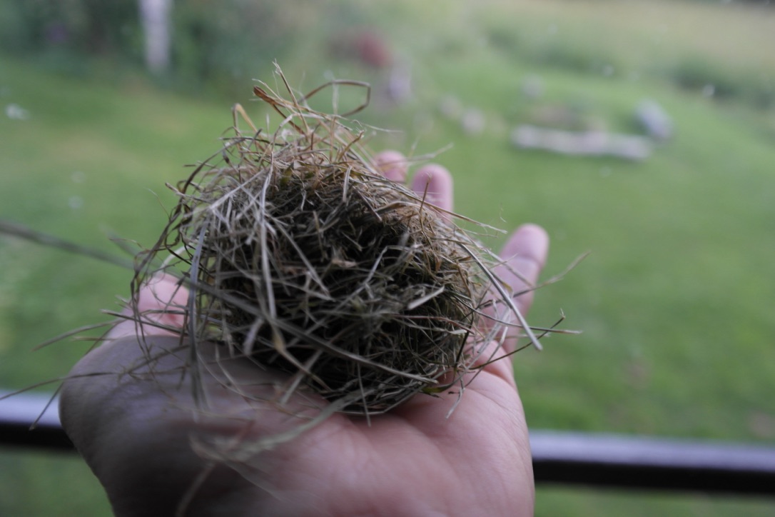UNADJUSTEDNONRAW_thumb_140f.jpg