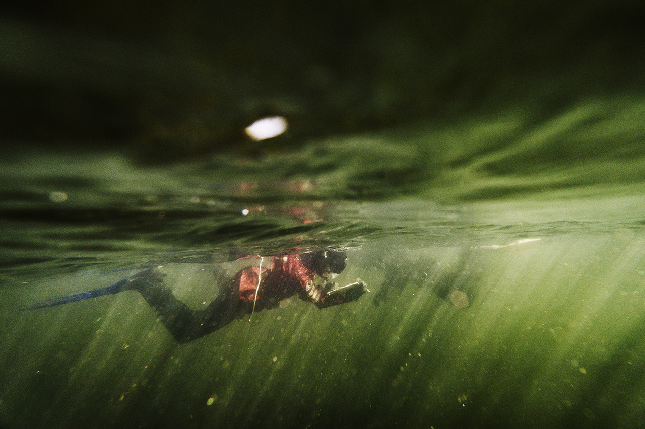 Marine biologist is investigating Stockholm's archipelago.