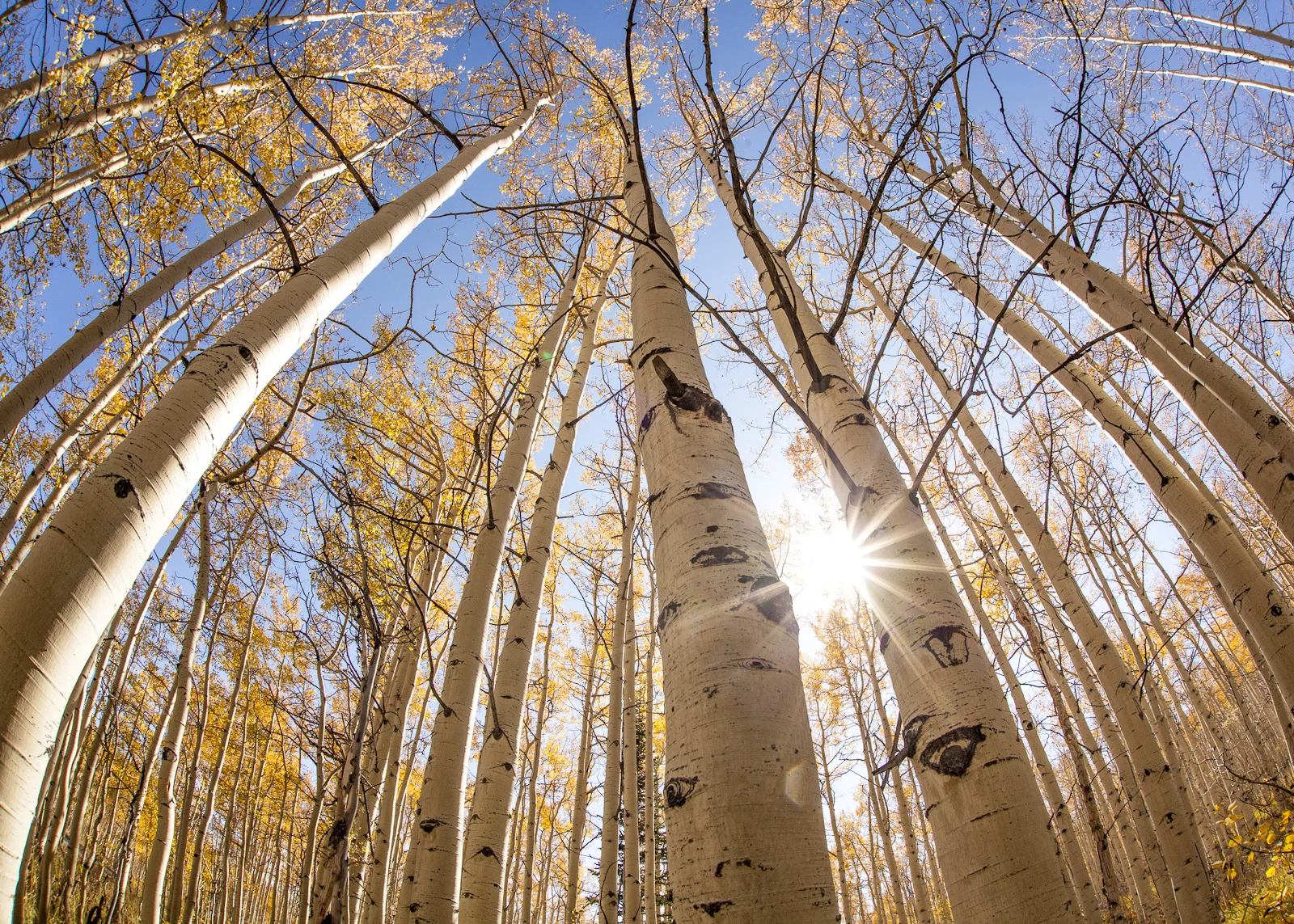 20121006-_MG_8147.jpg