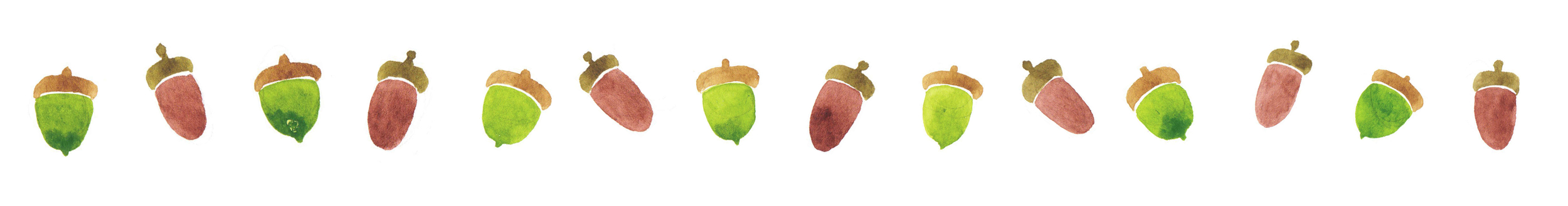 acorns.jpg