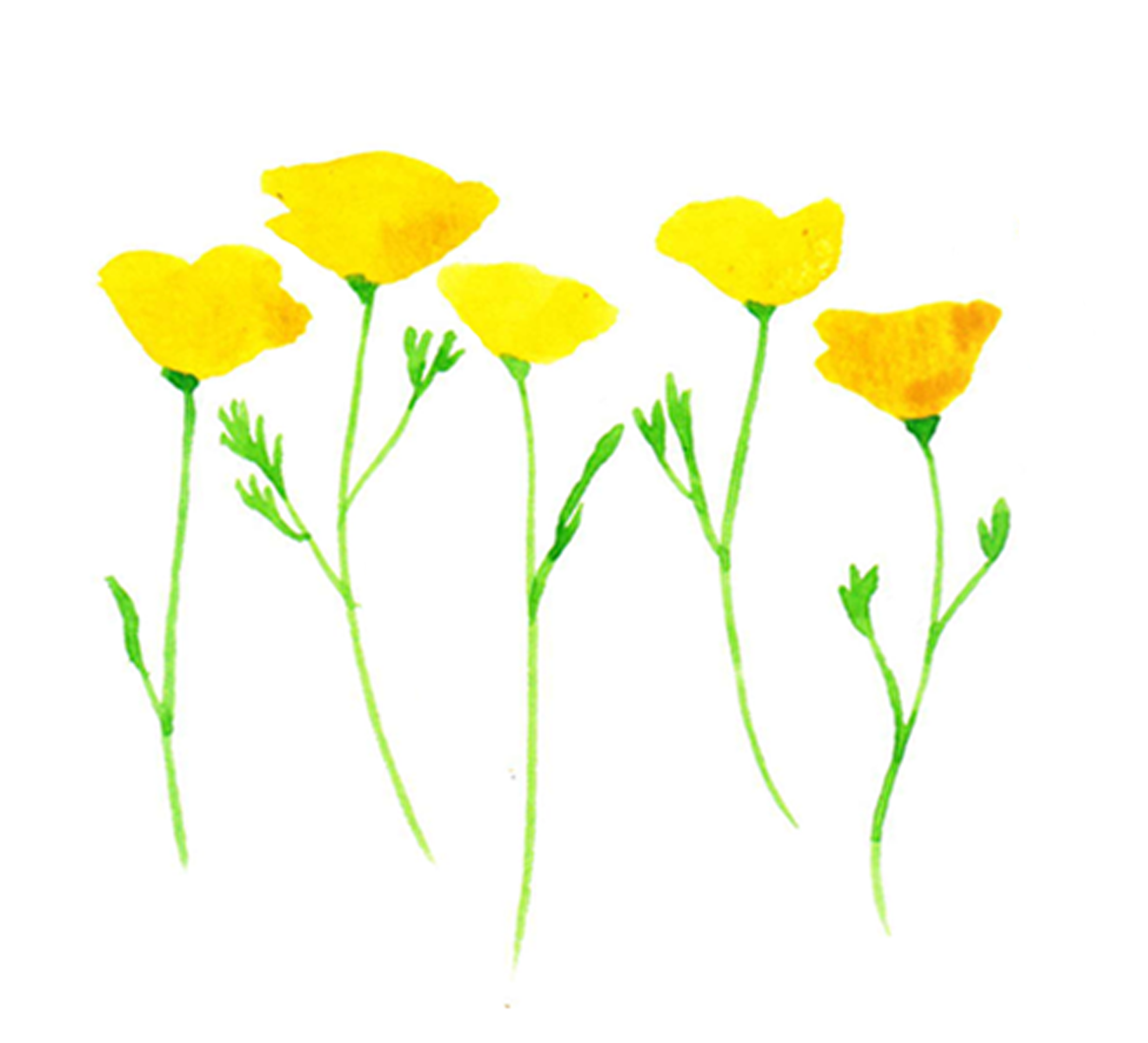 THURSDAYS, 9:00-10:30 in Grand Army Plaza