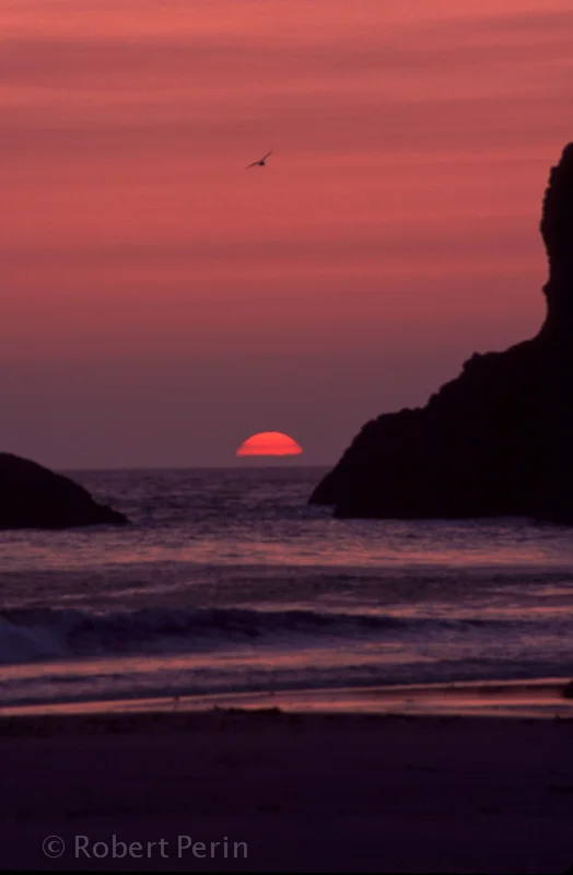 NW coast-19.jpg