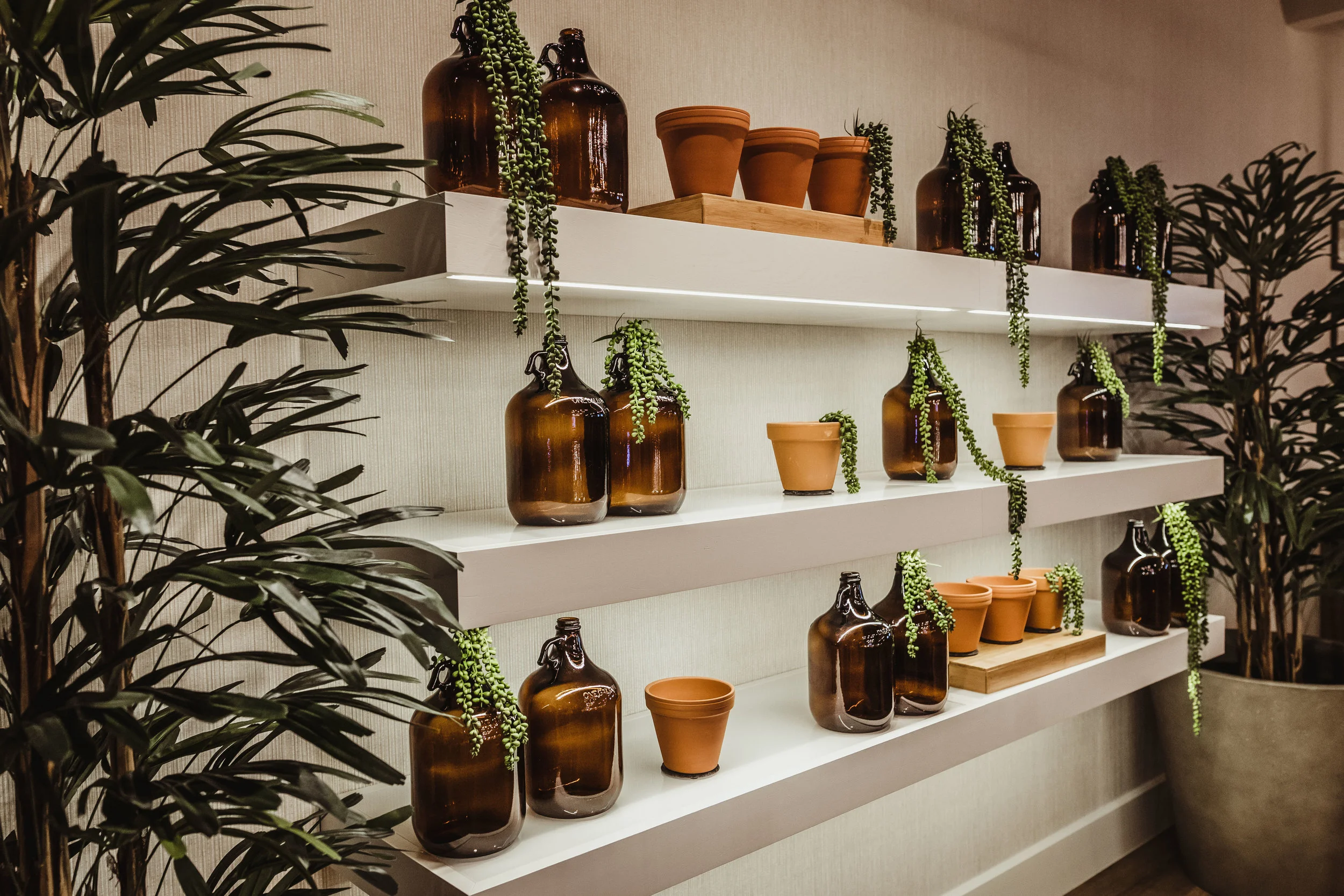 2.12.19 - Oliver Architecture - The Botanist Dispensary-42.jpg