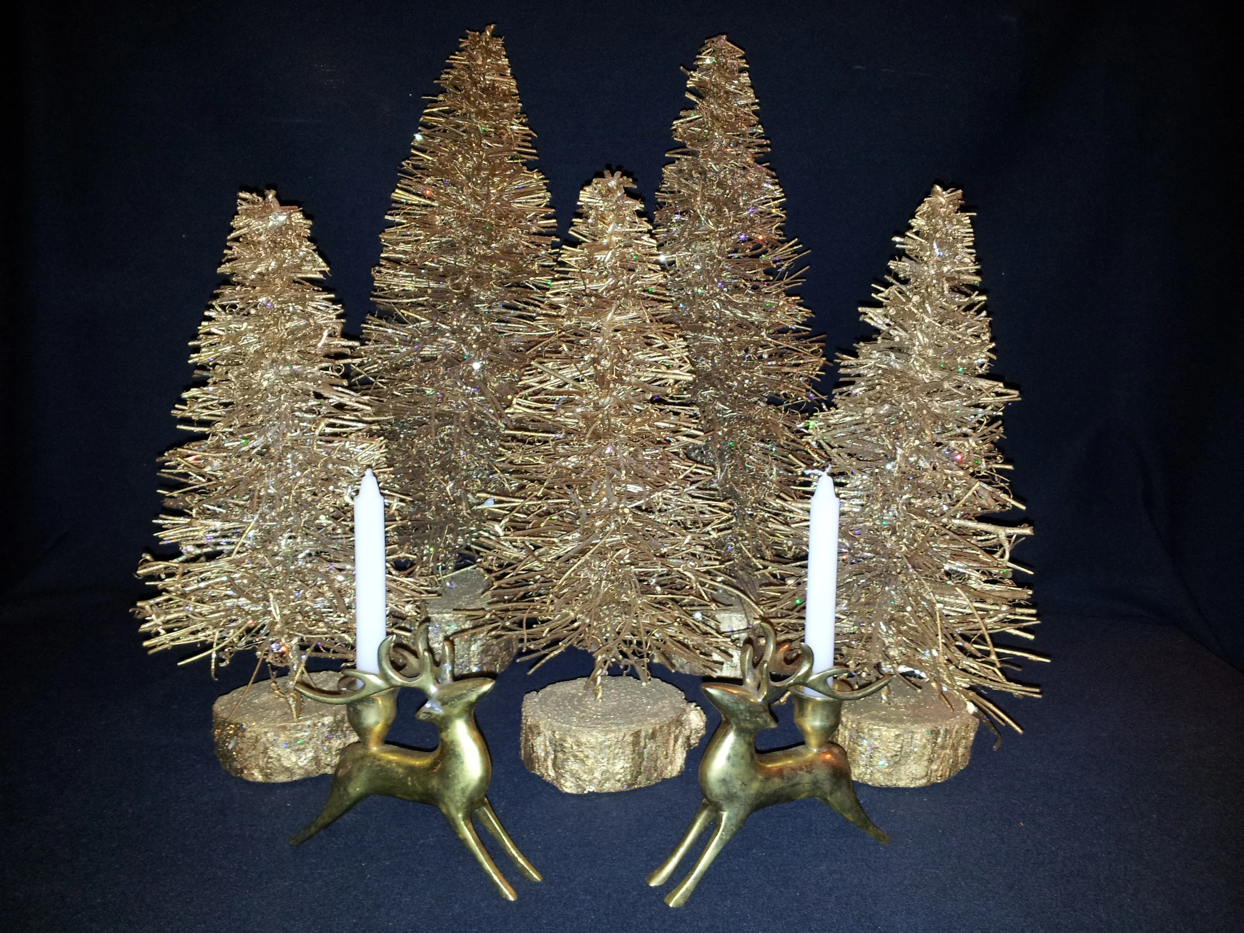 TreesDec5.jpg