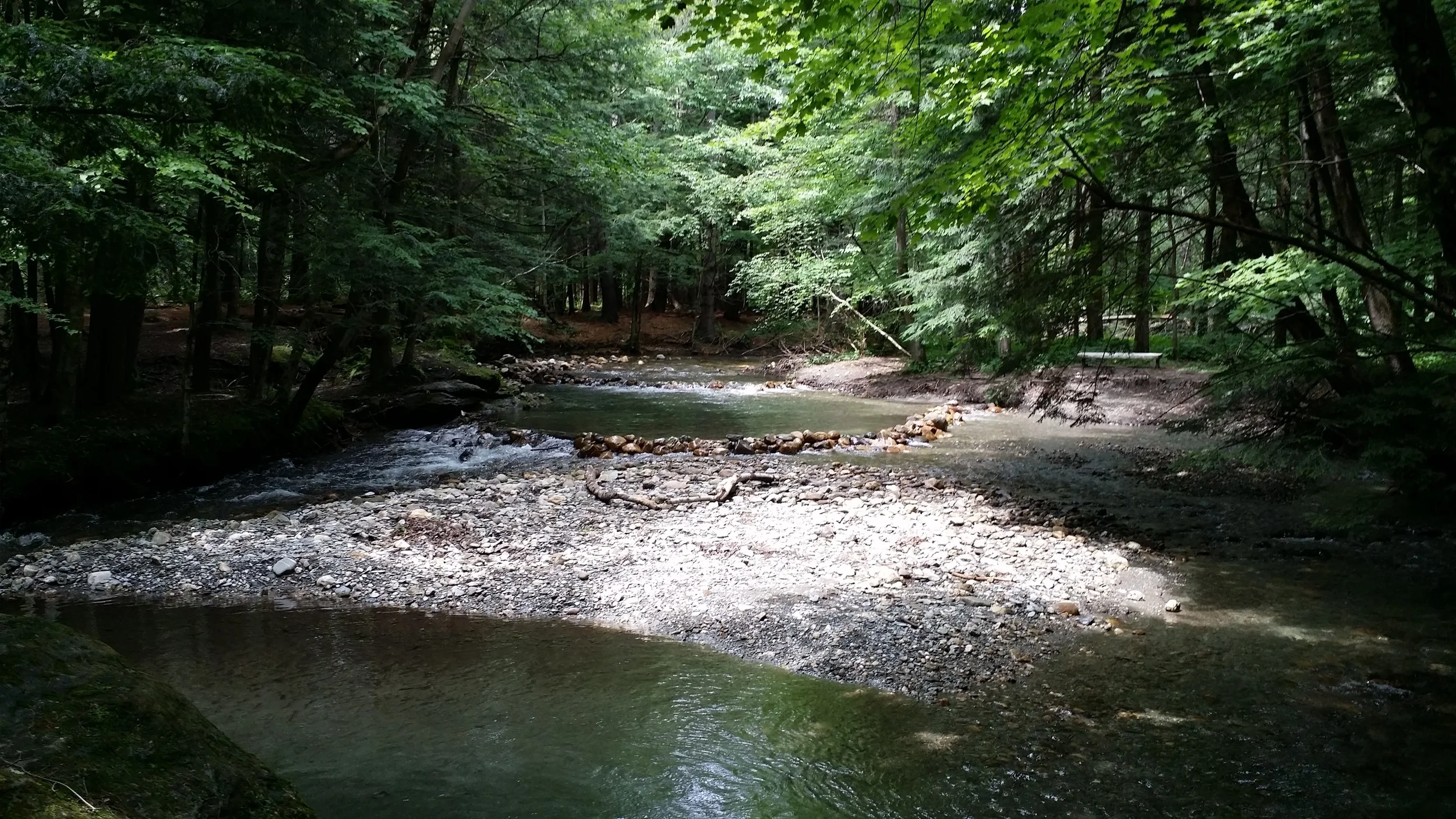 20140716_140543.jpg