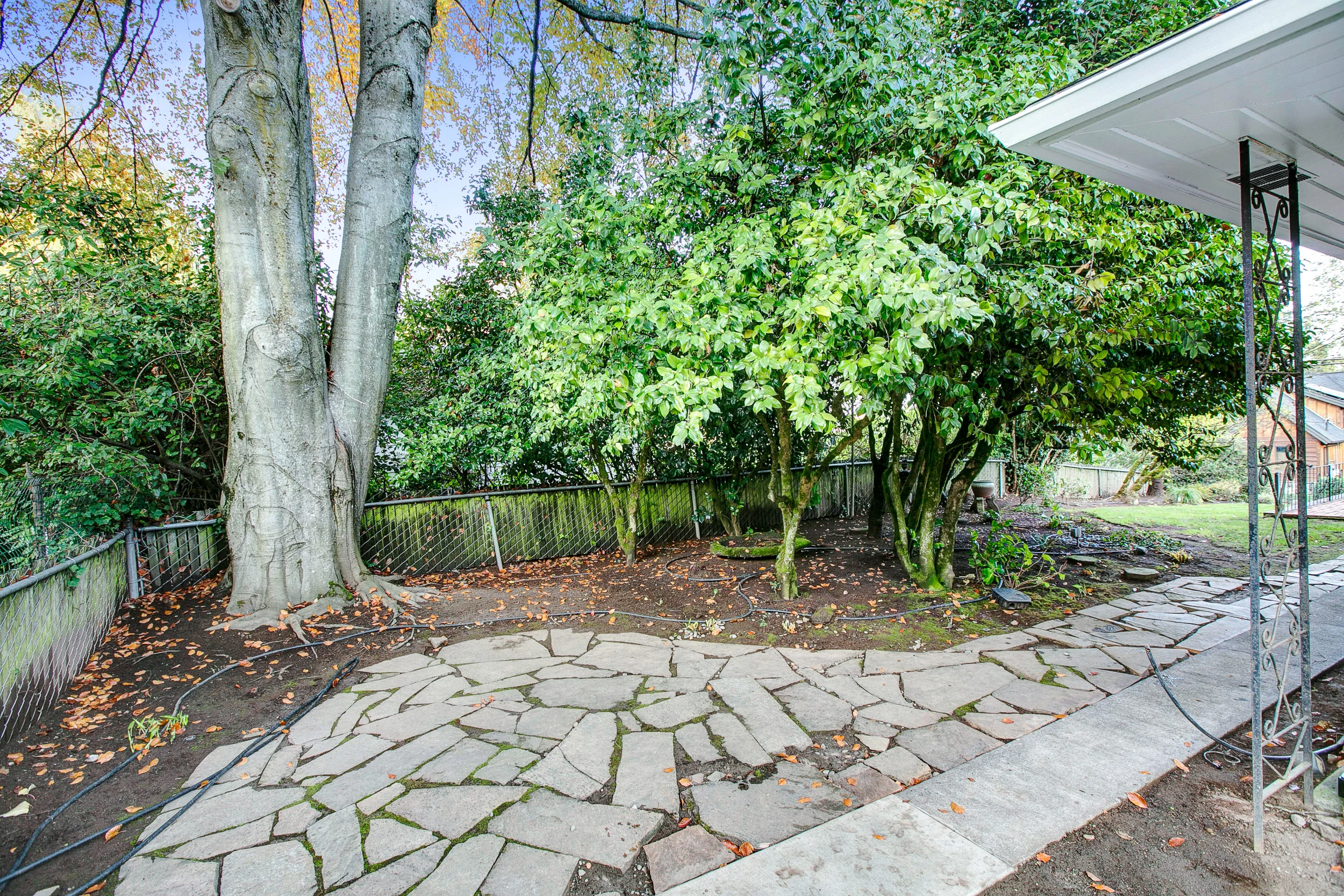 58_1421 Holly St., West Linn_3261.jpg