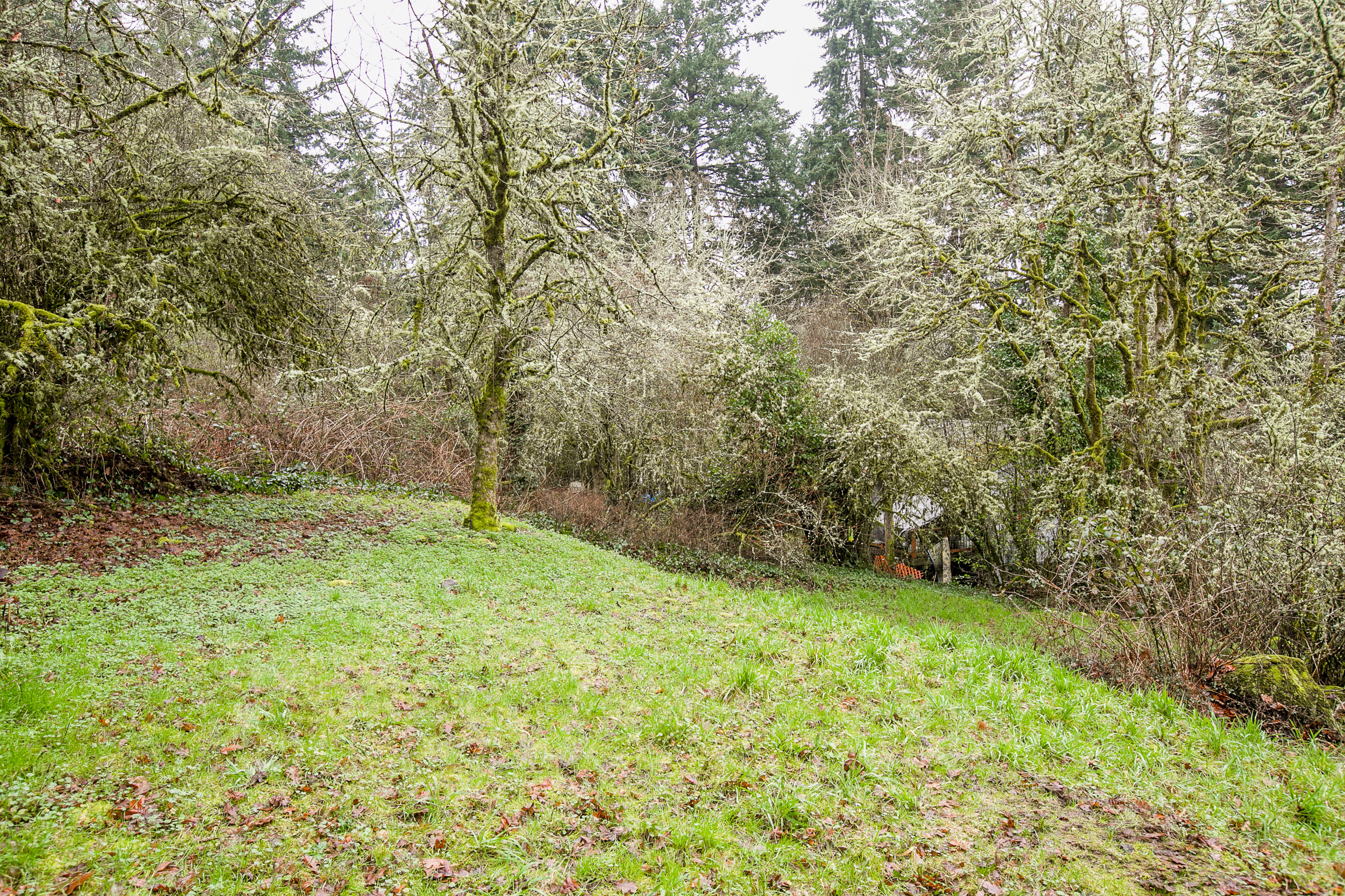 33_18858 Upper Midhill Dr. West LInn_9.jpg