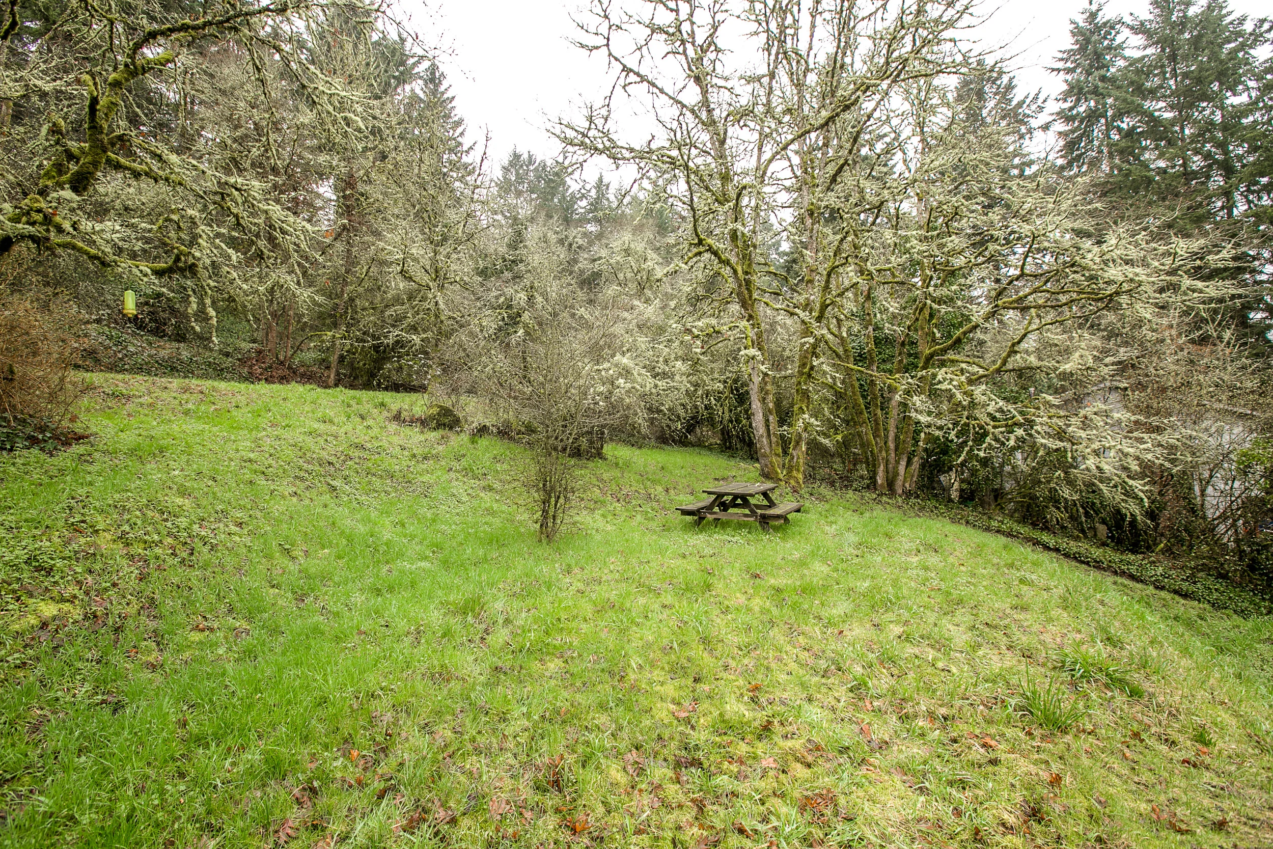 36_18858 Upper Midhill Dr. West LInn_9.jpg