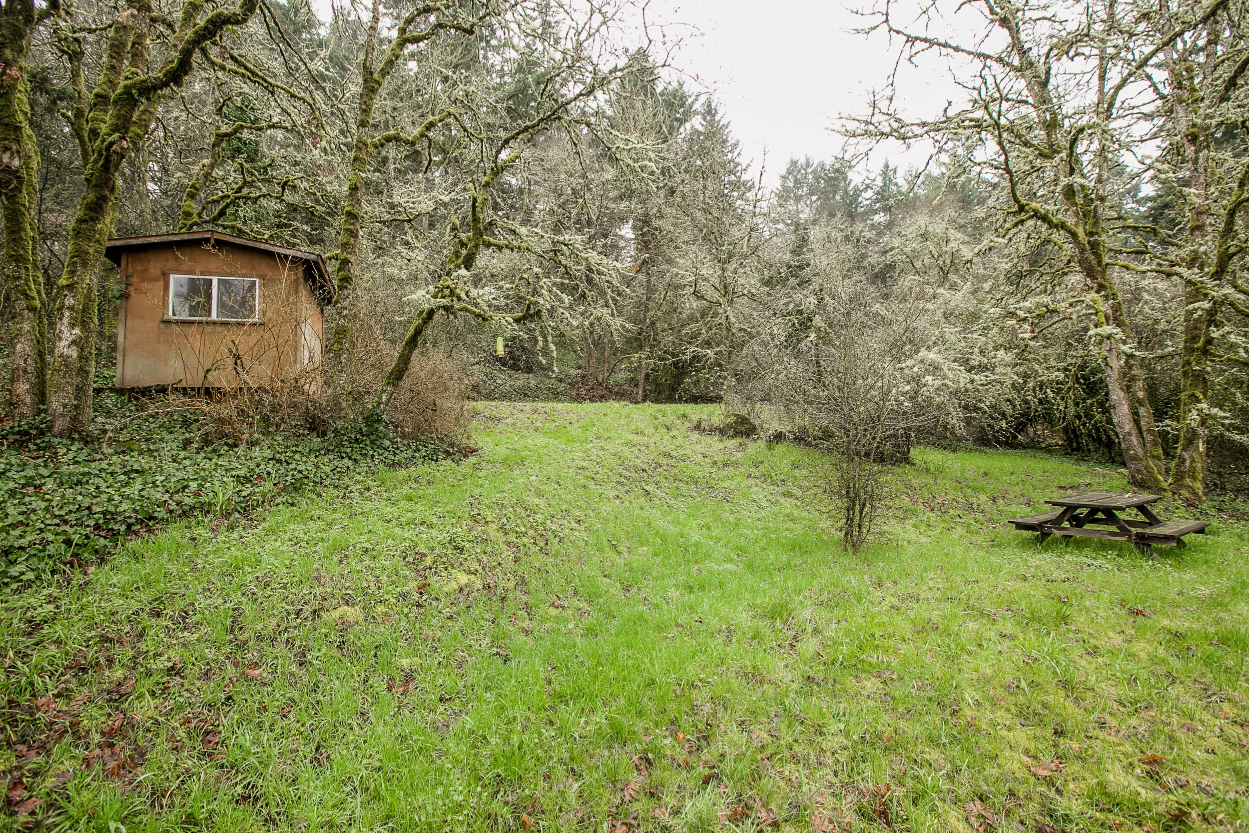 37_18858 Upper Midhill Dr. West LInn_4.jpg