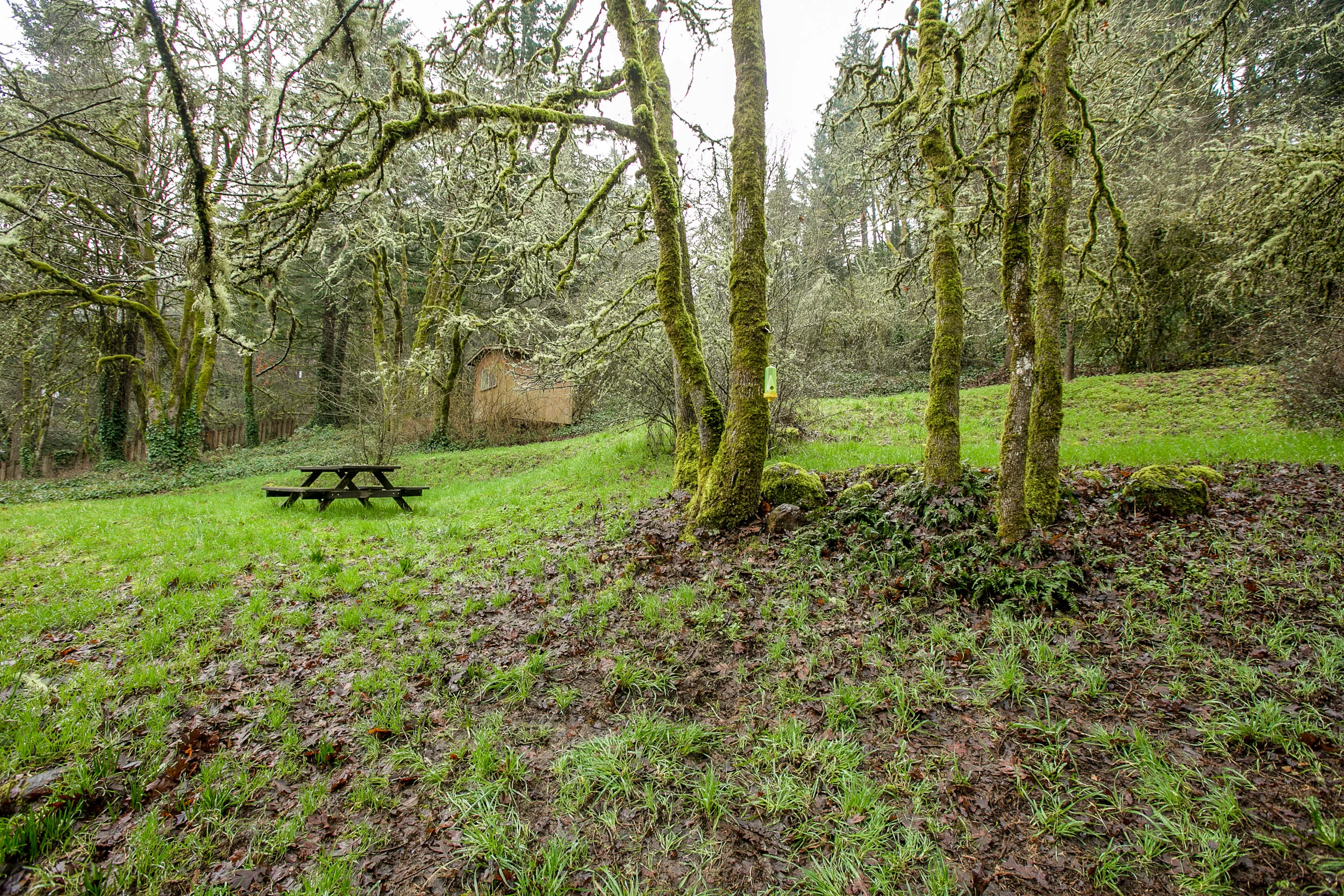 39_18858 Upper Midhill Dr. West LInn_4.jpg