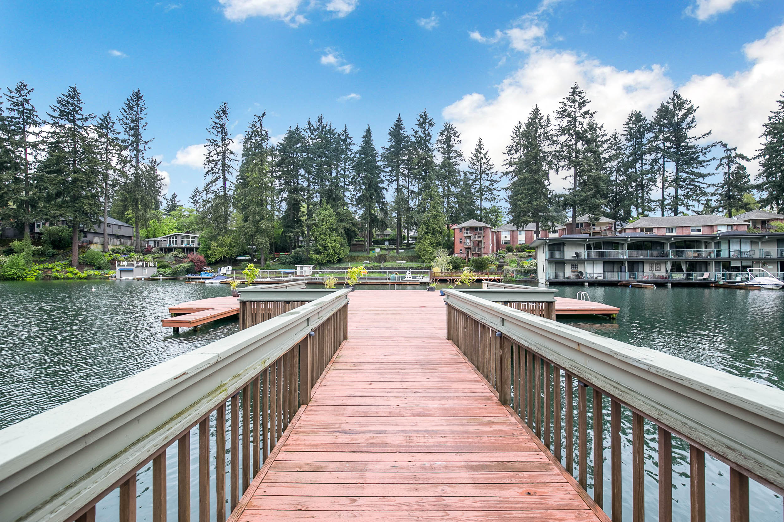 023_668 McVey Ave Lake Oswego_MG_8480-HDR.jpg