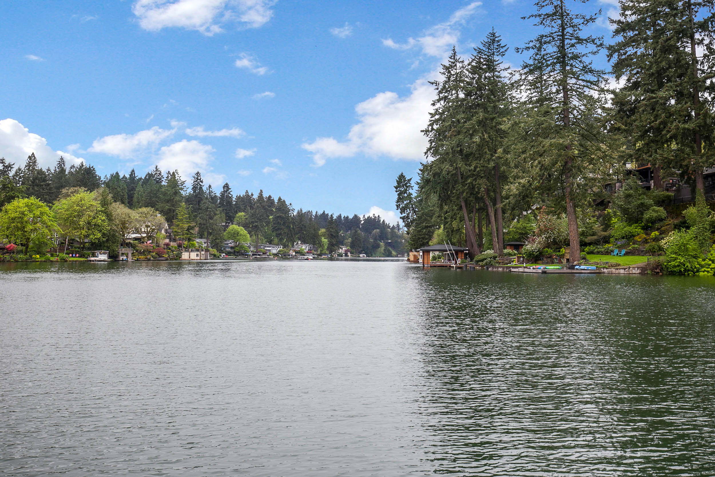 029_668 McVey Ave Lake Oswego_MG_8510-HDR.jpg