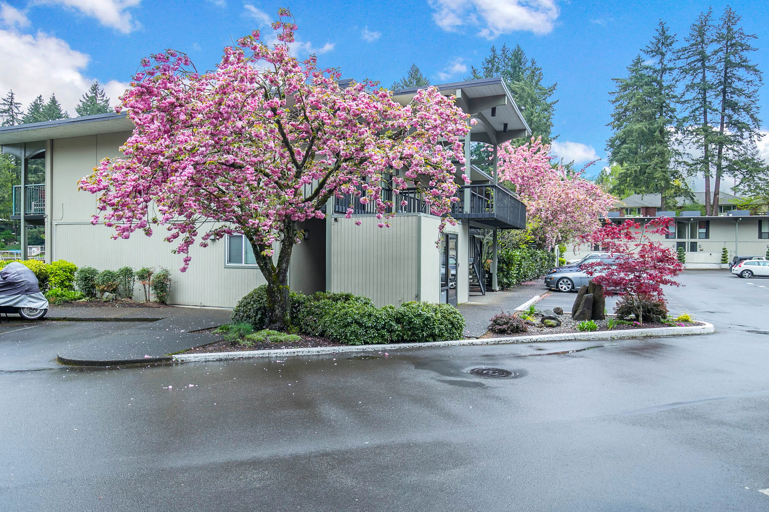 031_668 McVey Ave Lake Oswego_MG_8555-HDR.jpg