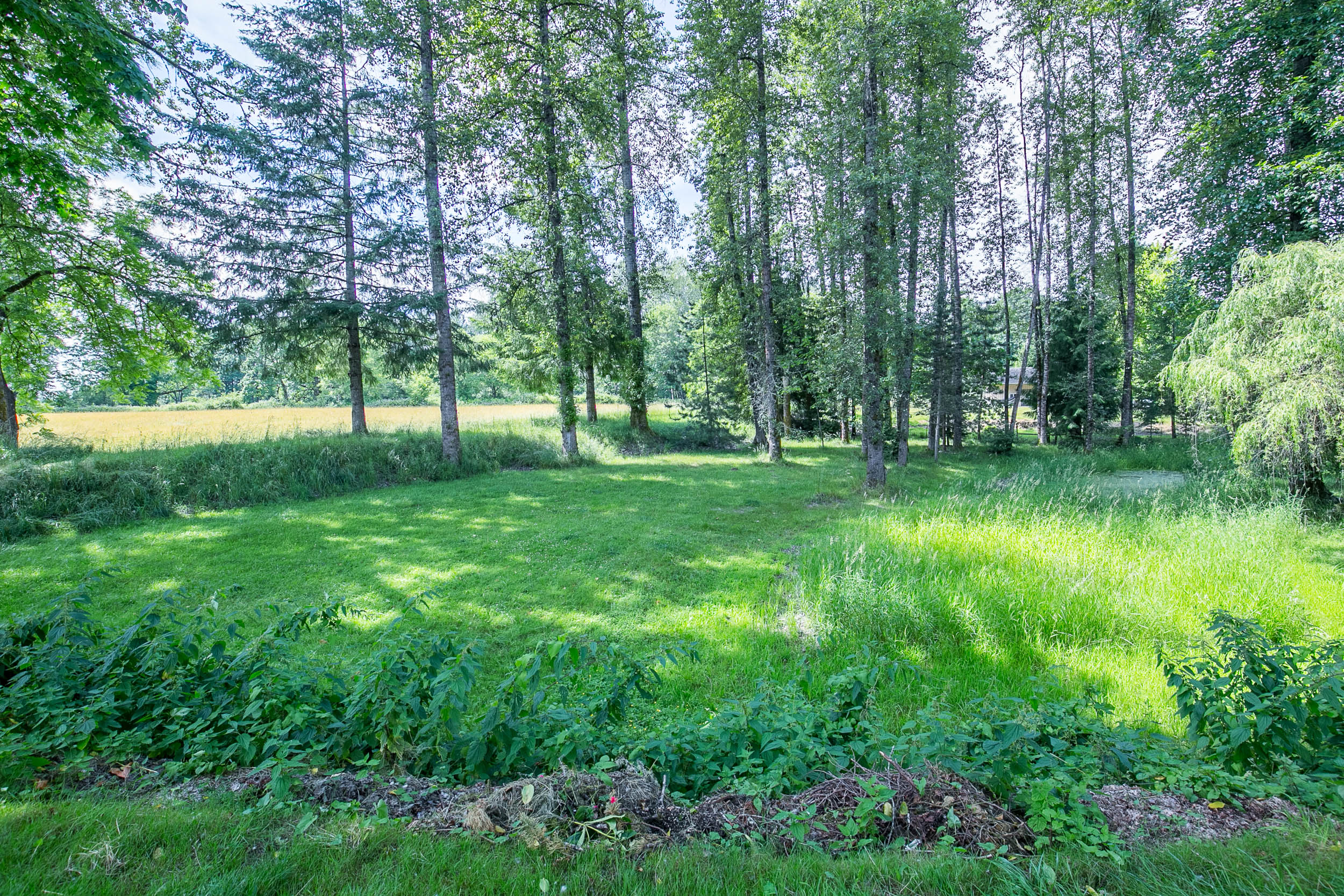 094_40157 Deerhorn Rd_MG_8994-HDR.jpg