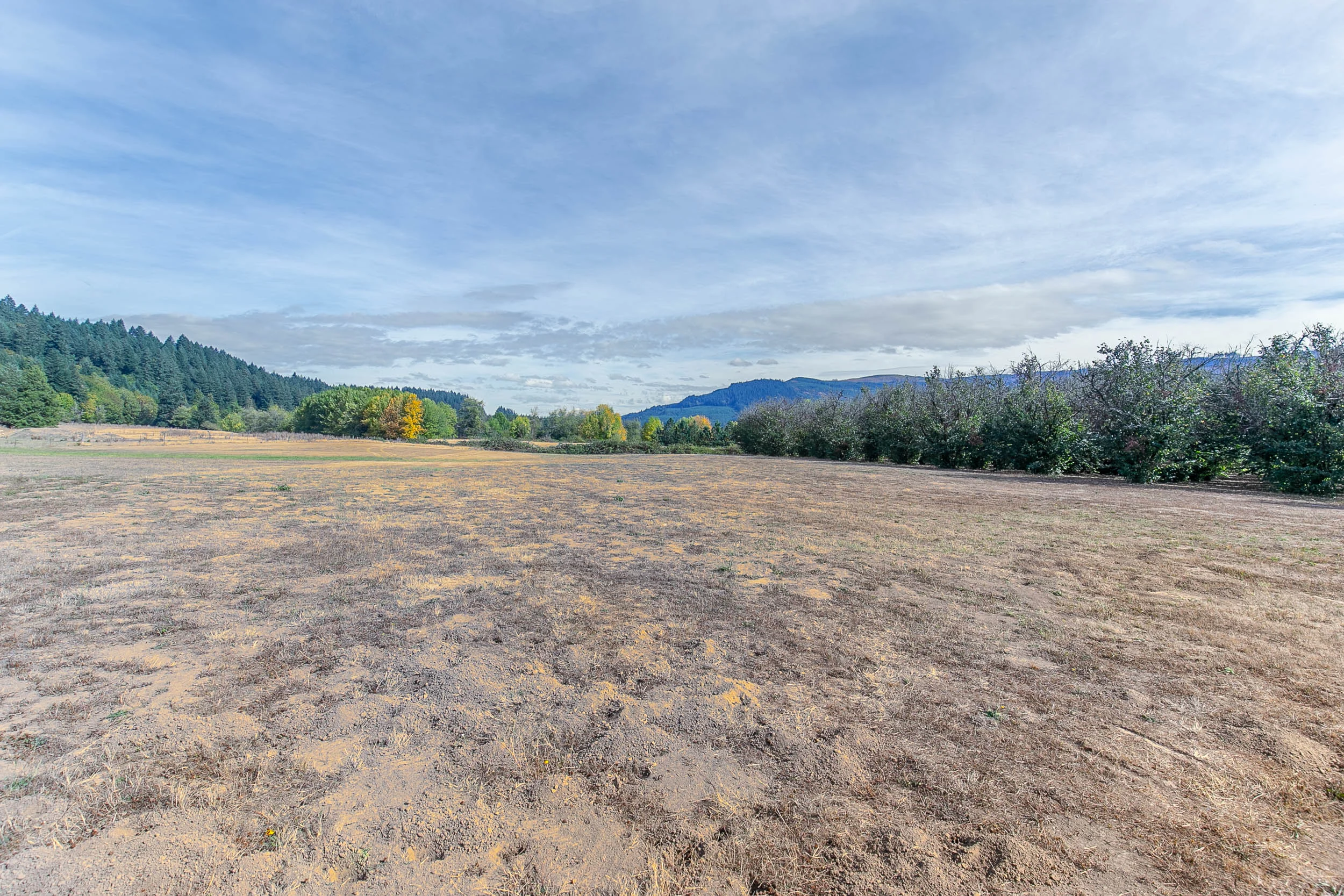 103_4108 McKenzie Hwy_MG_3551-HDR.jpg