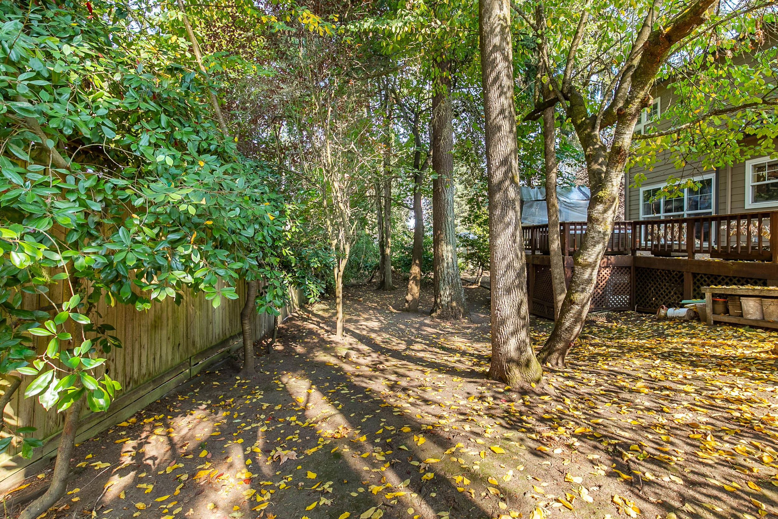 058_1325 Ravenwood _MG_1738-HDR.jpg